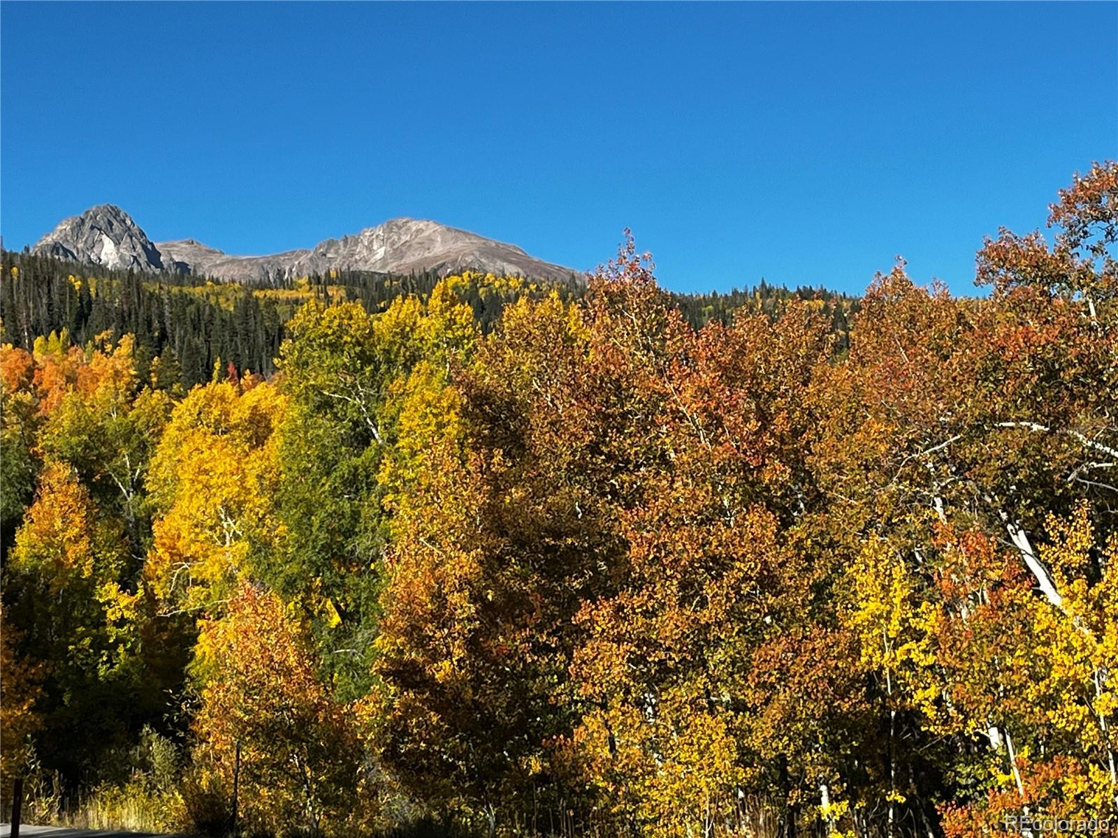 240 Game Trail Road Silverthorne CO 80498