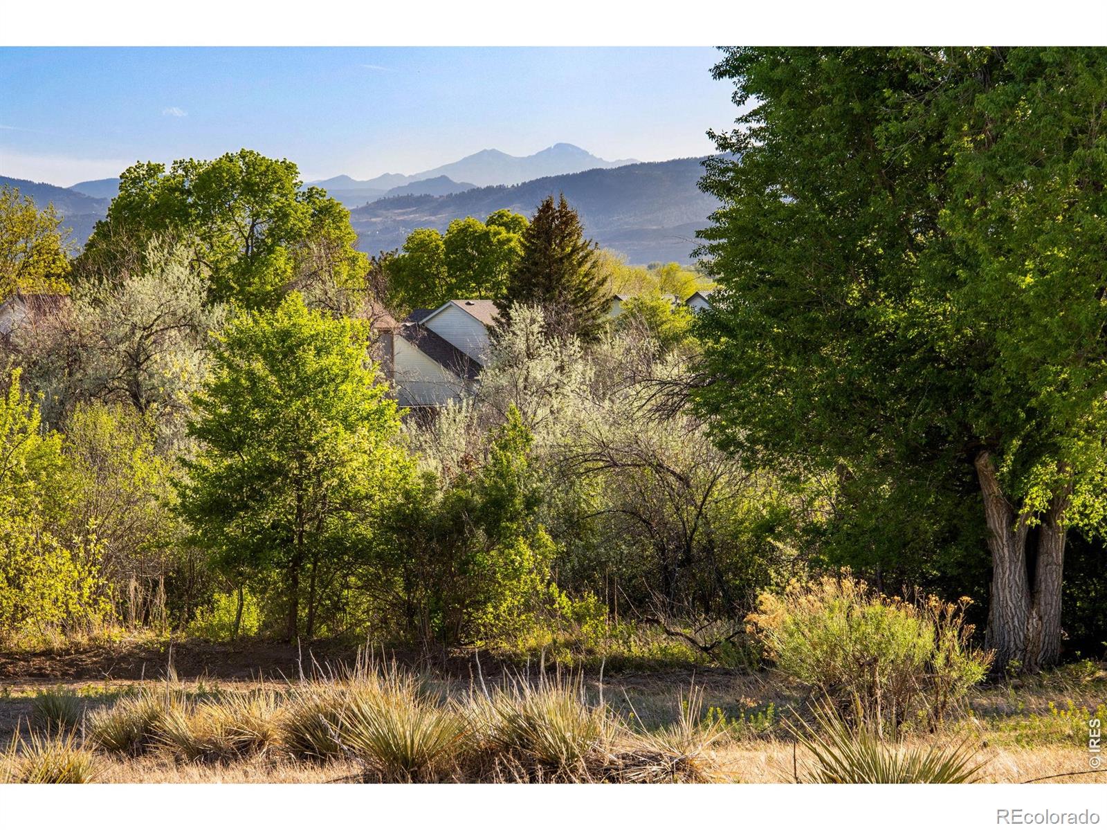 1032 Linden Gate Court Fort Collins CO 80524