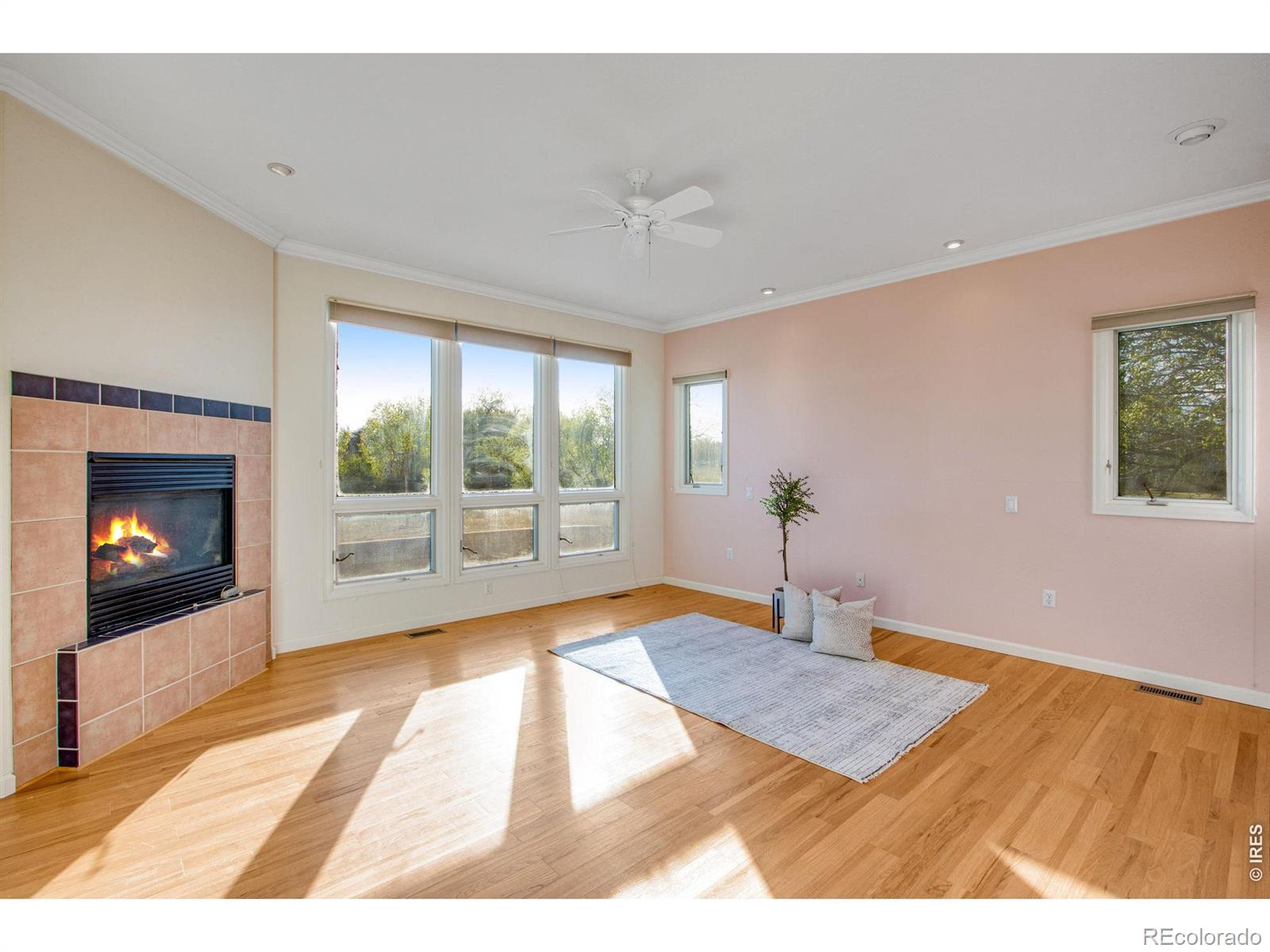 1032 Linden Gate Court Fort Collins CO 80524