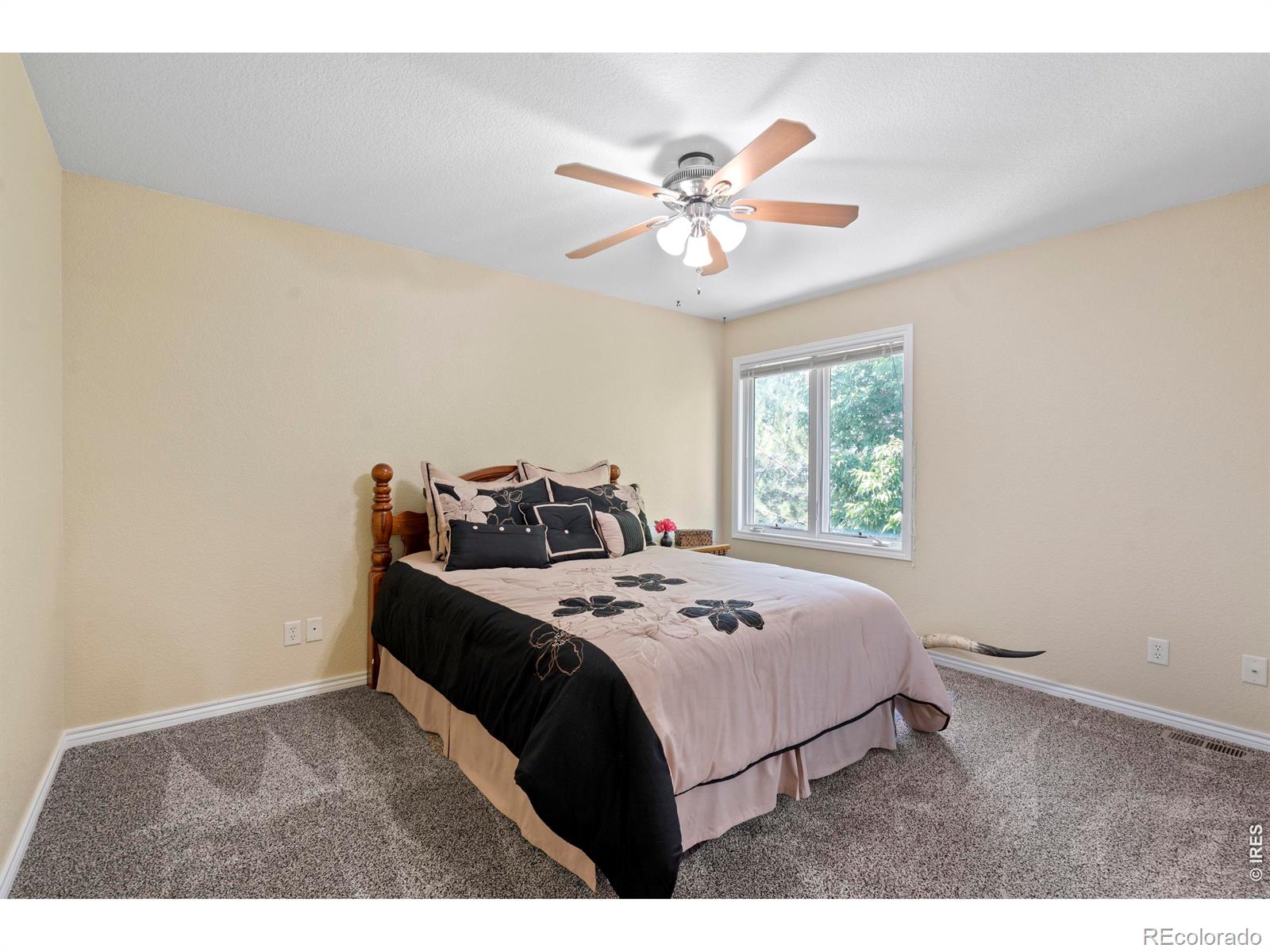 1591 Landon Court Windsor CO 80550