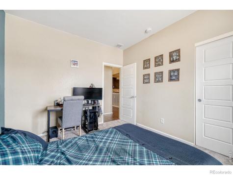 101 Siesta Key Court Windsor CO 80550