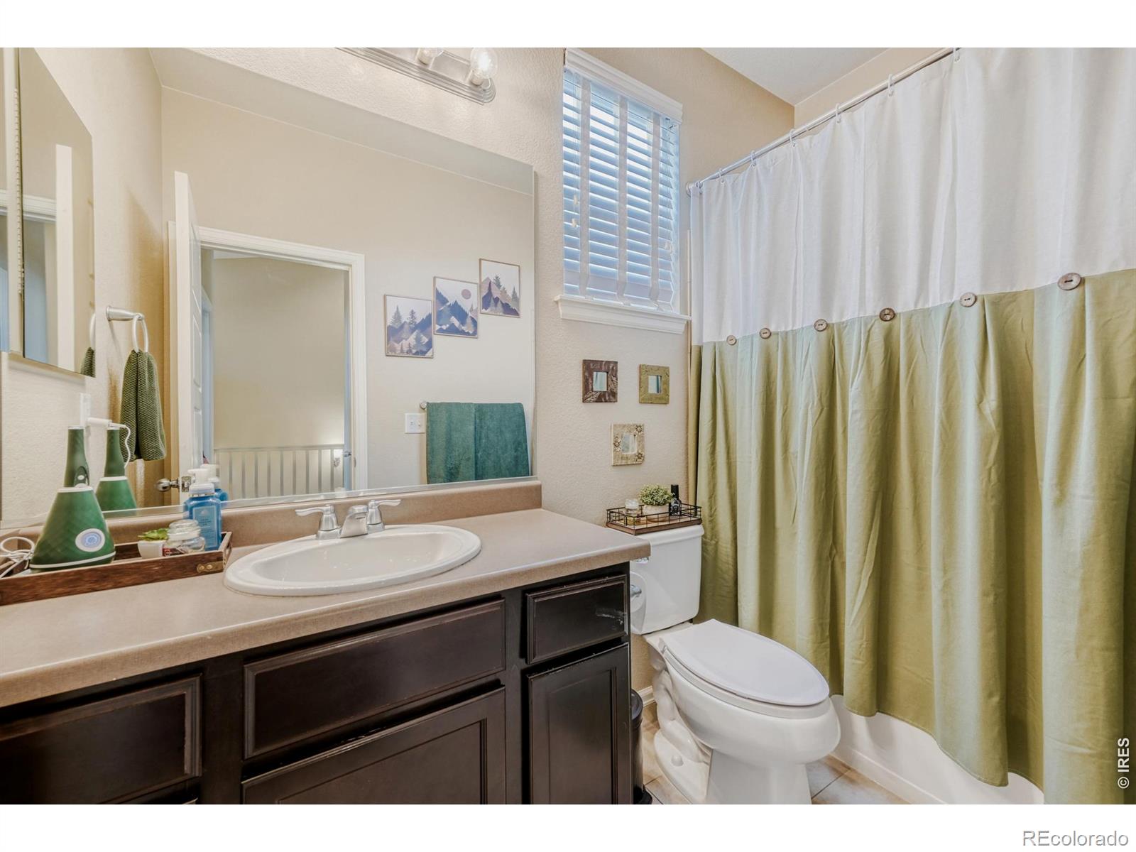 101 Siesta Key Court Windsor CO 80550