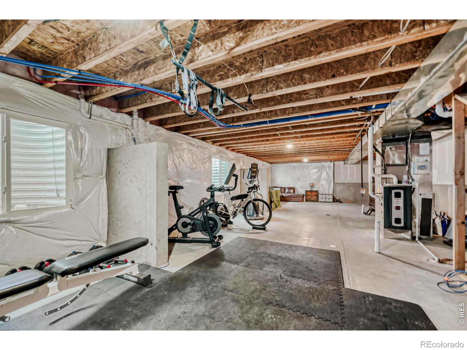 101 Siesta Key Court Windsor CO 80550
