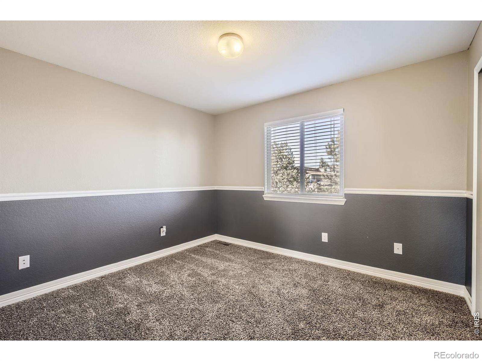 4605 Tarragon Drive Johnstown CO 80534