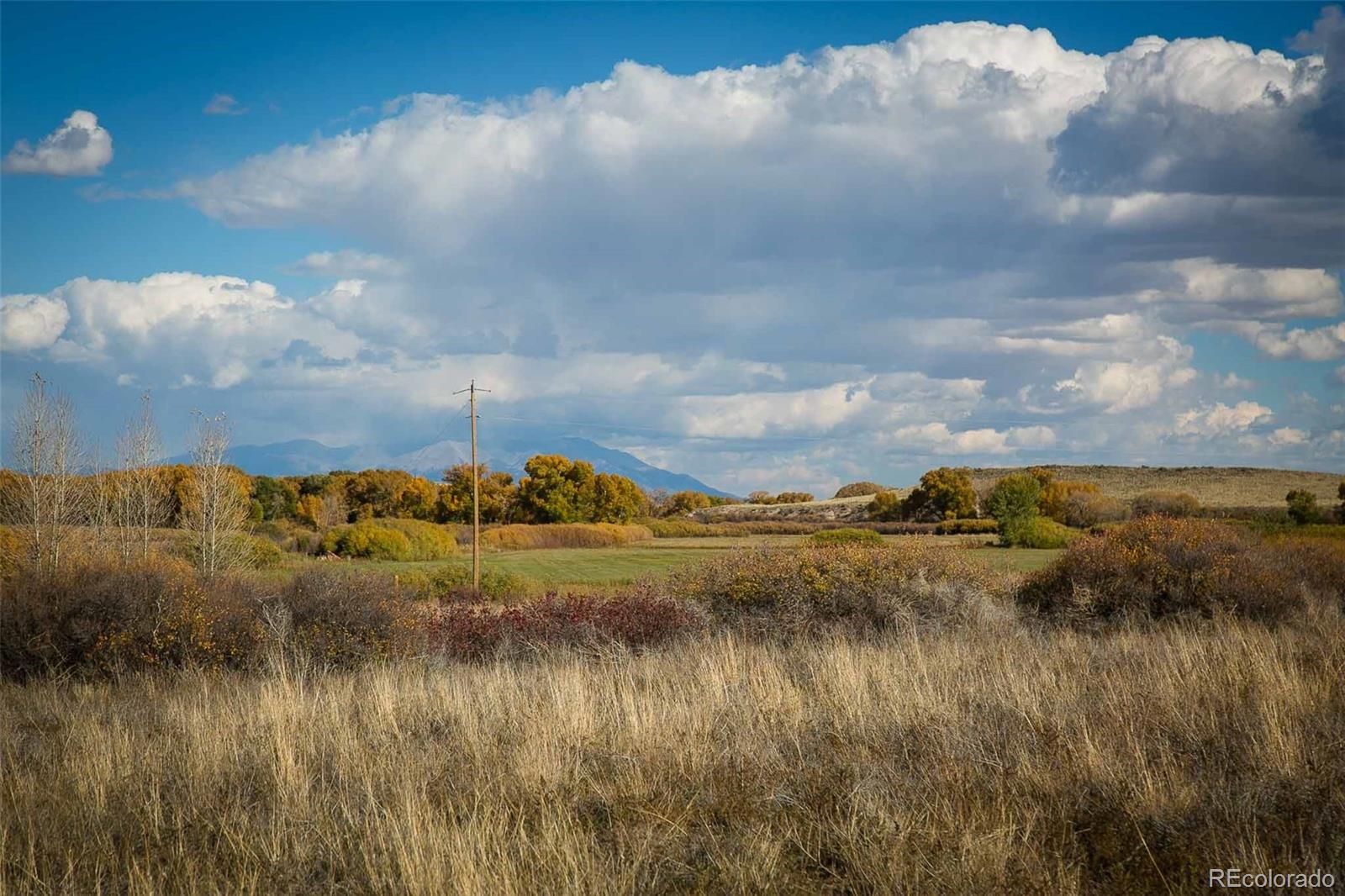 6771 W County Road 5n Del Norte CO 81132