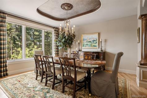 17507 Colonial Park Drive Monument CO 80132
