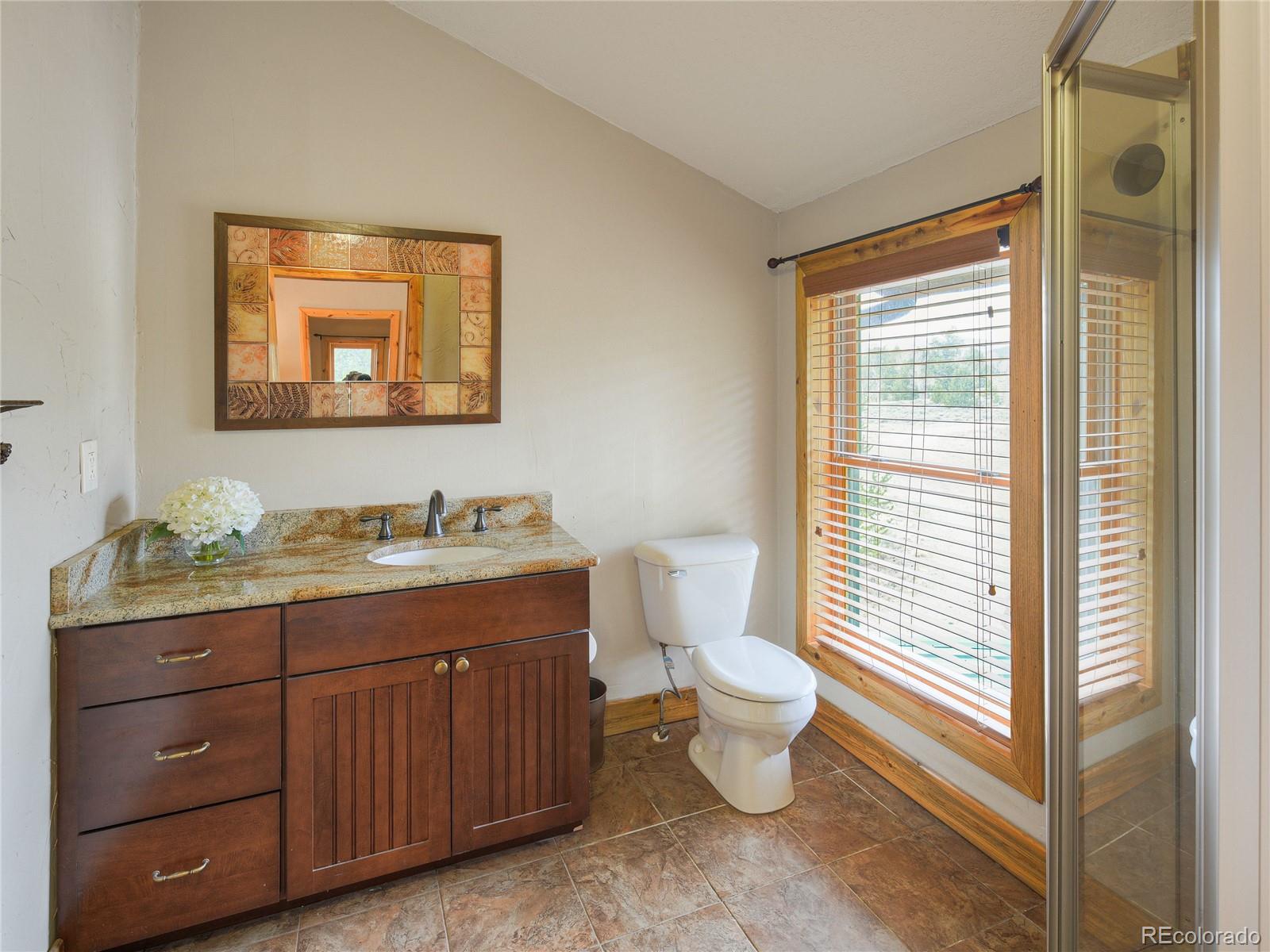 2867 Willow Creek Lane Fairplay CO 80440