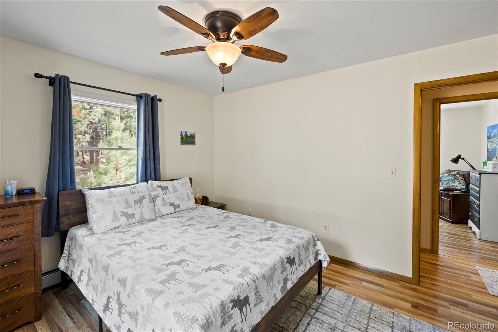 1110 Pikes Peak Drive Florissant CO 80816