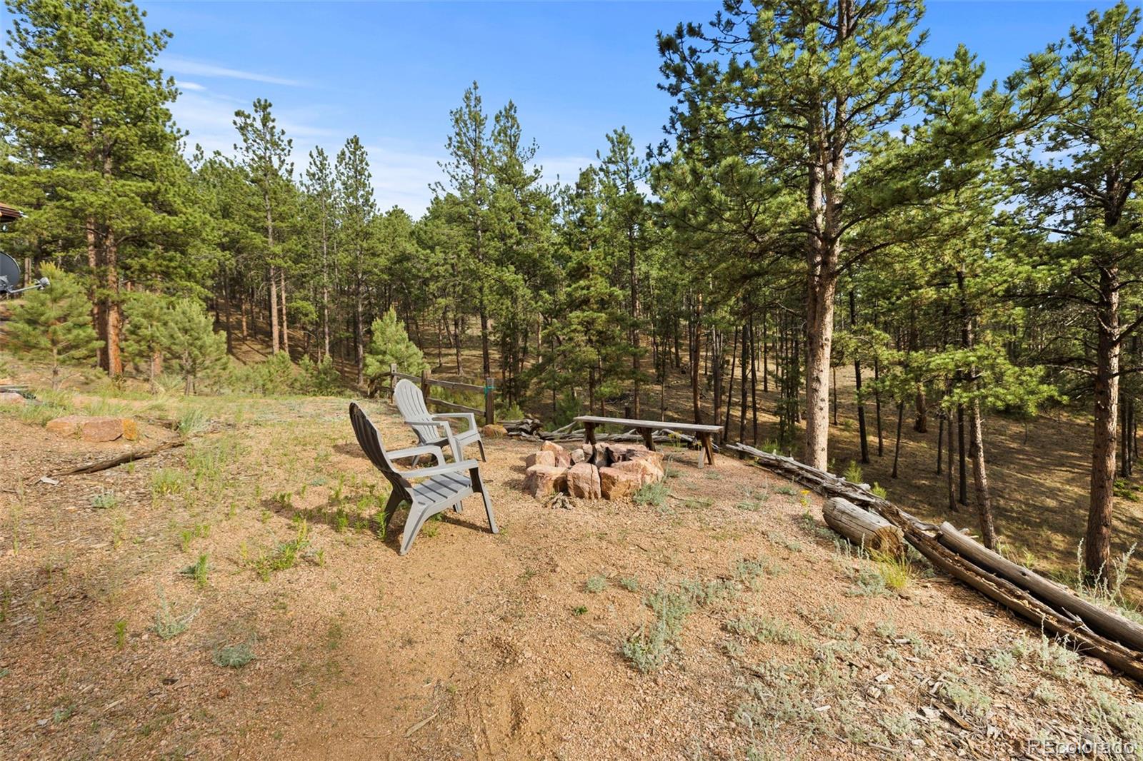 1110 Pikes Peak Drive Florissant CO 80816