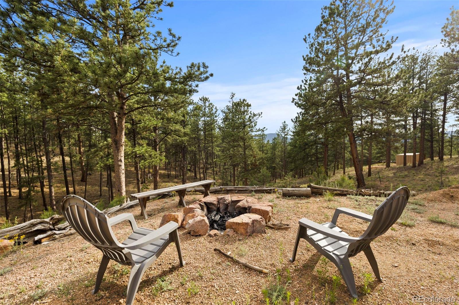 1110 Pikes Peak Drive Florissant CO 80816