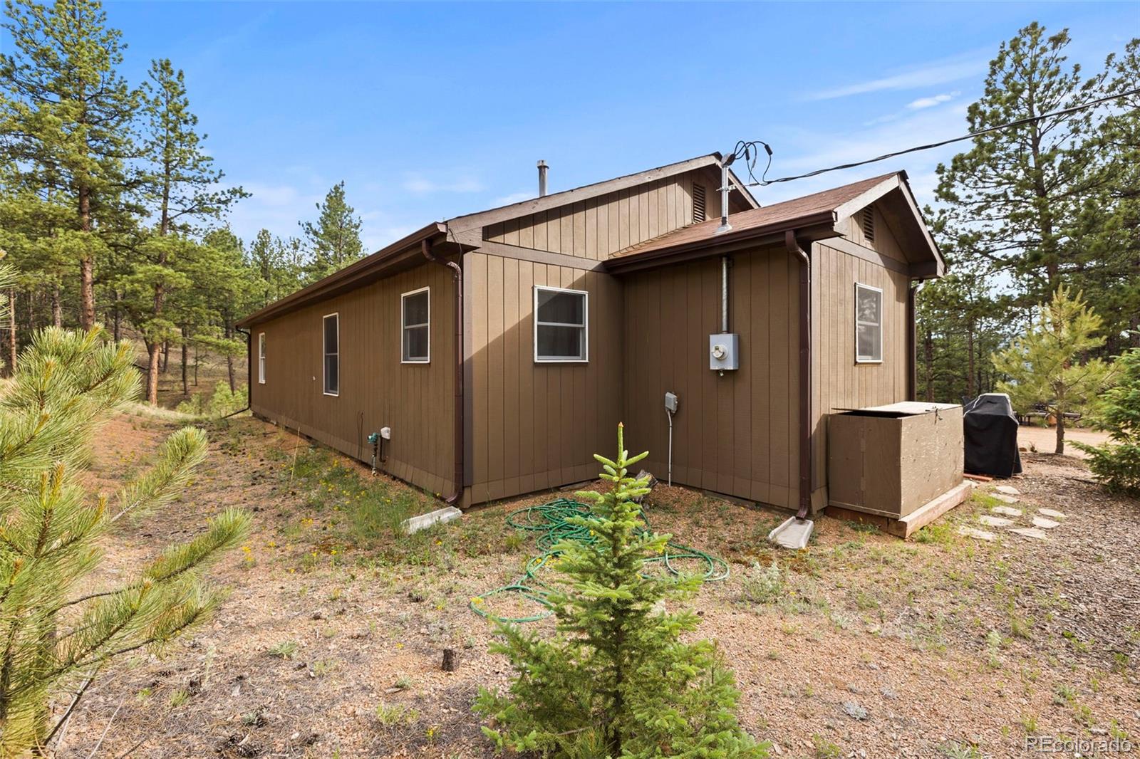 1110 Pikes Peak Drive Florissant CO 80816