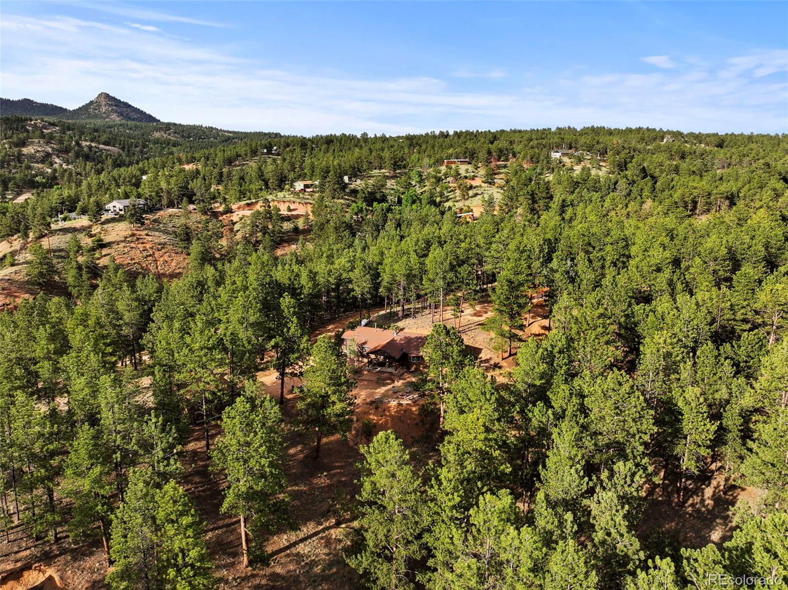 1110 Pikes Peak Drive Florissant CO 80816