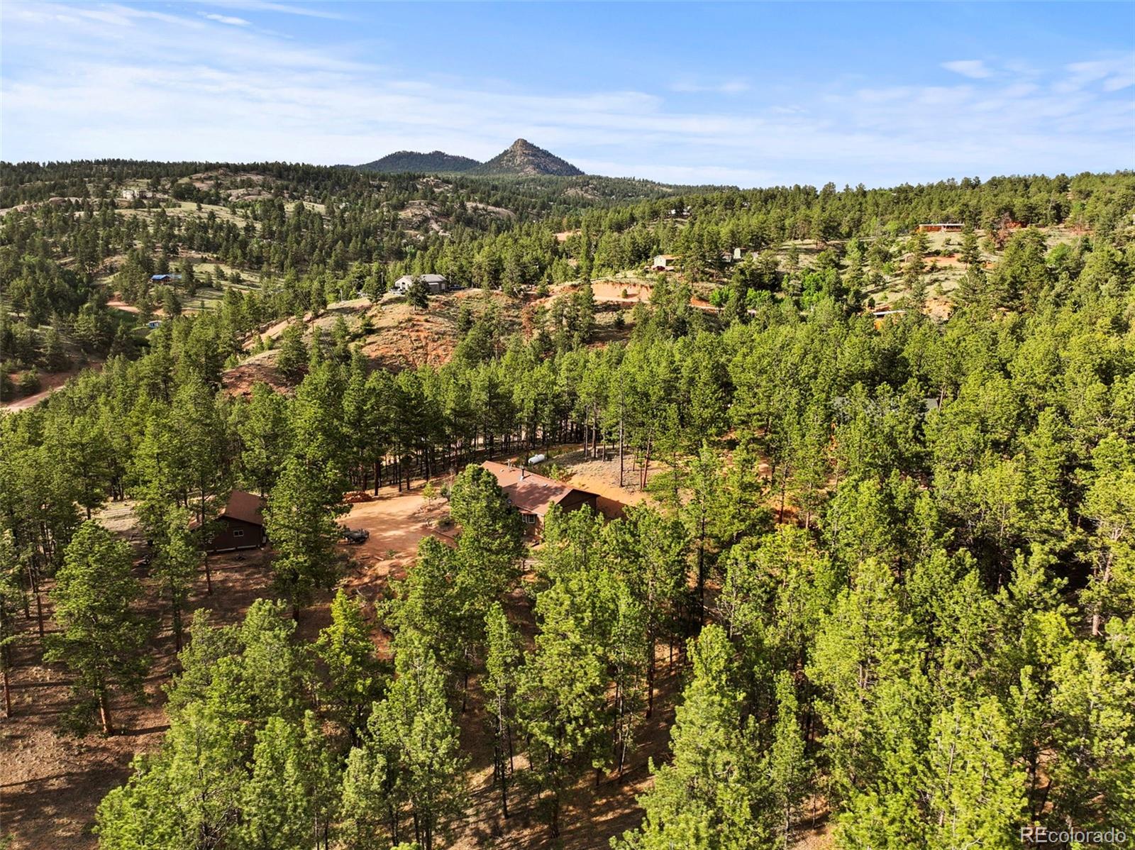 1110 Pikes Peak Drive Florissant CO 80816