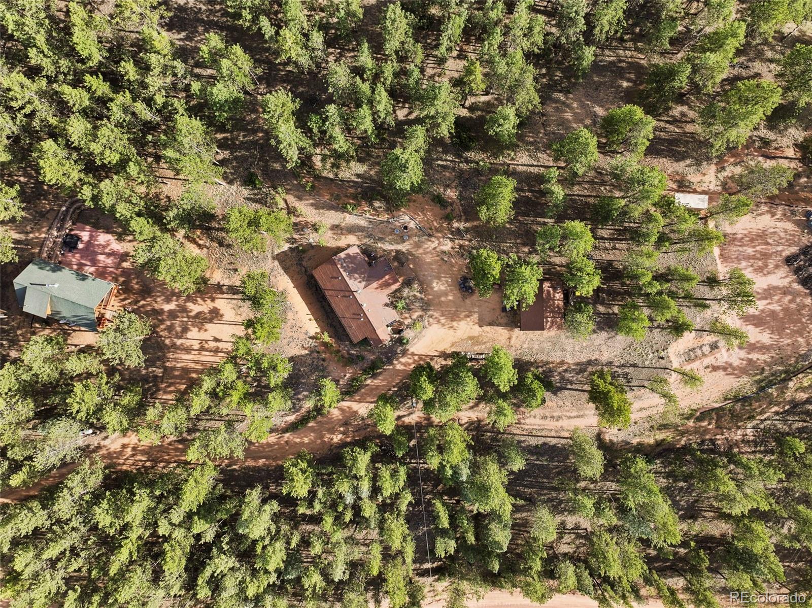 1110 Pikes Peak Drive Florissant CO 80816
