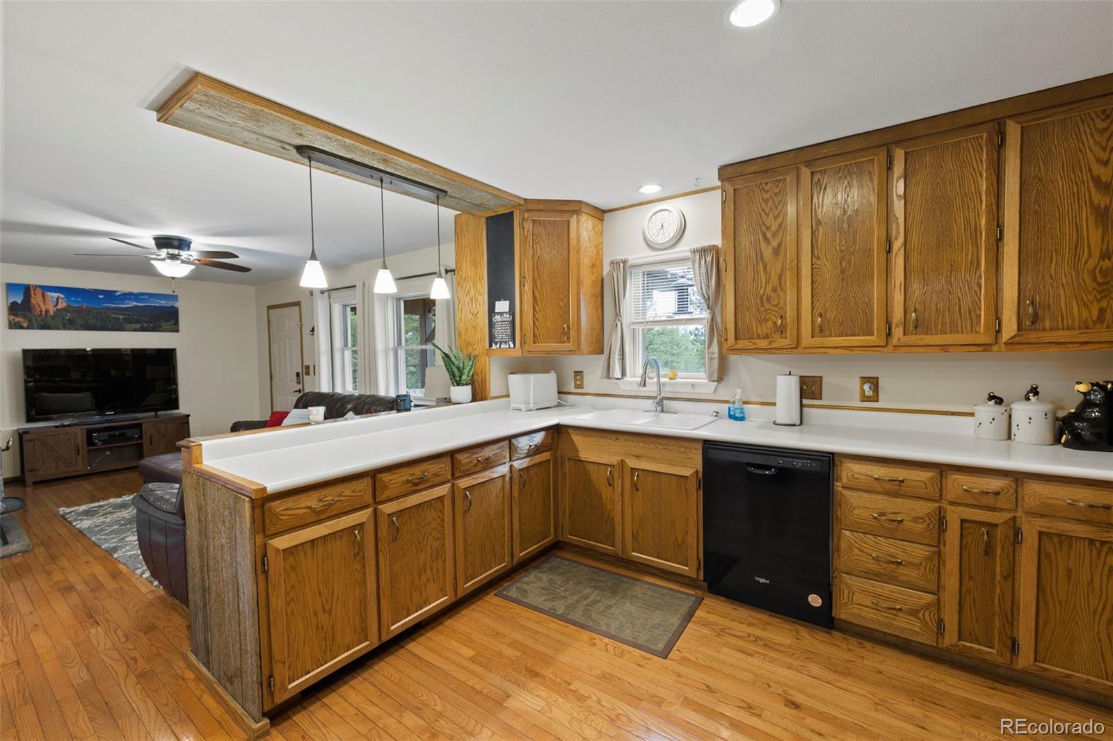 1110 Pikes Peak Drive Florissant CO 80816
