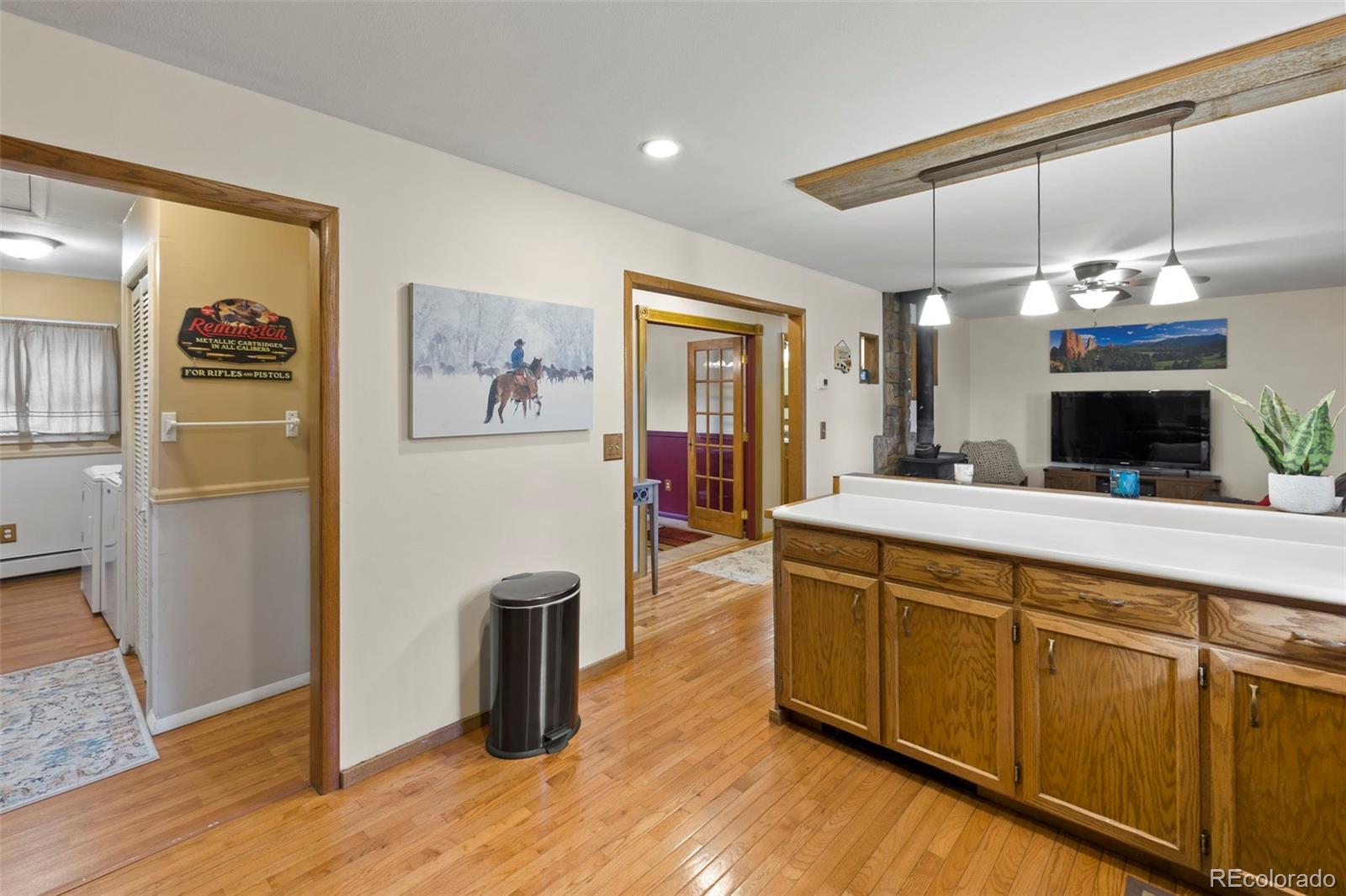 1110 Pikes Peak Drive Florissant CO 80816