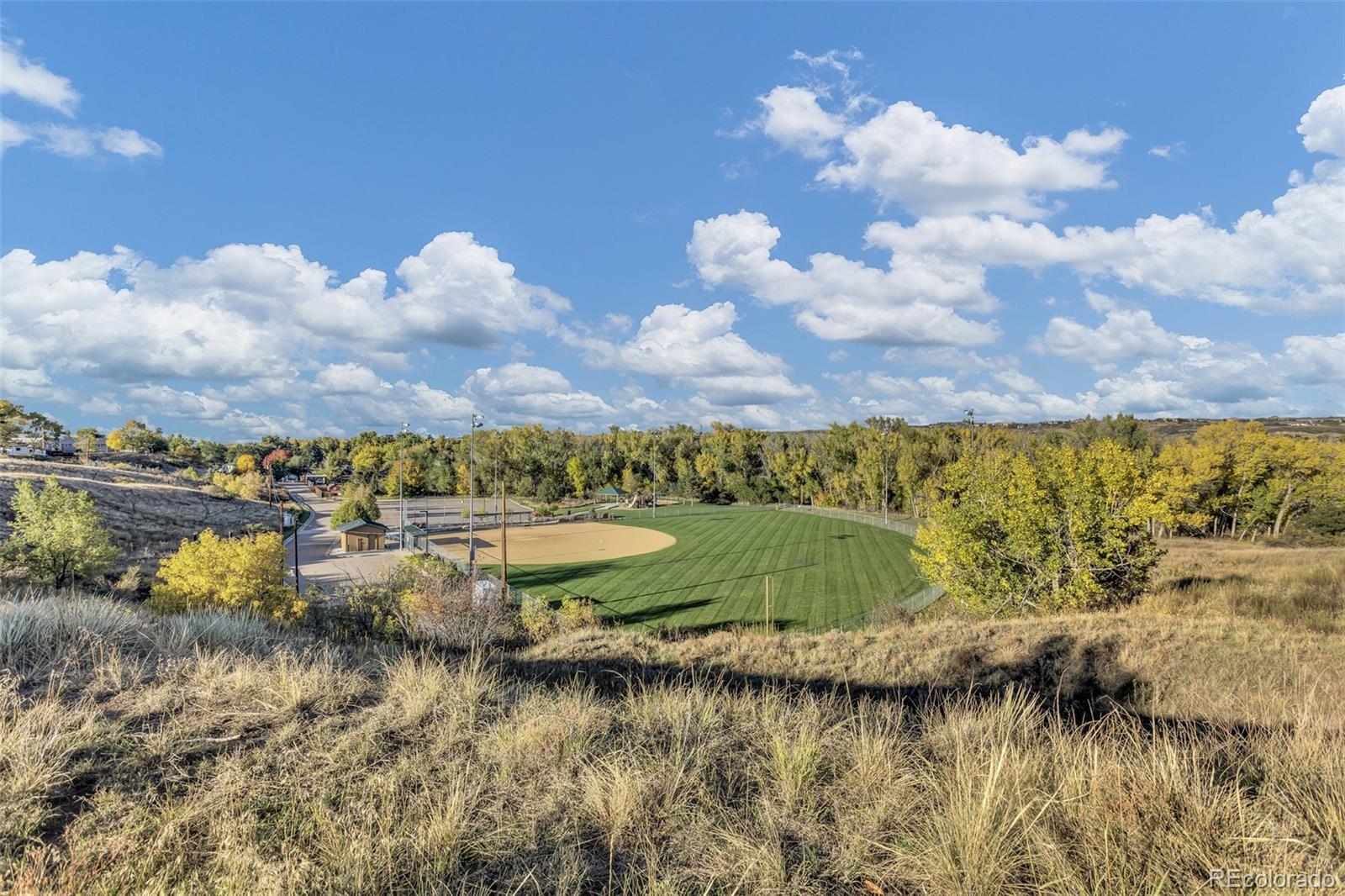 7801 Valley View Street Louviers CO 80131