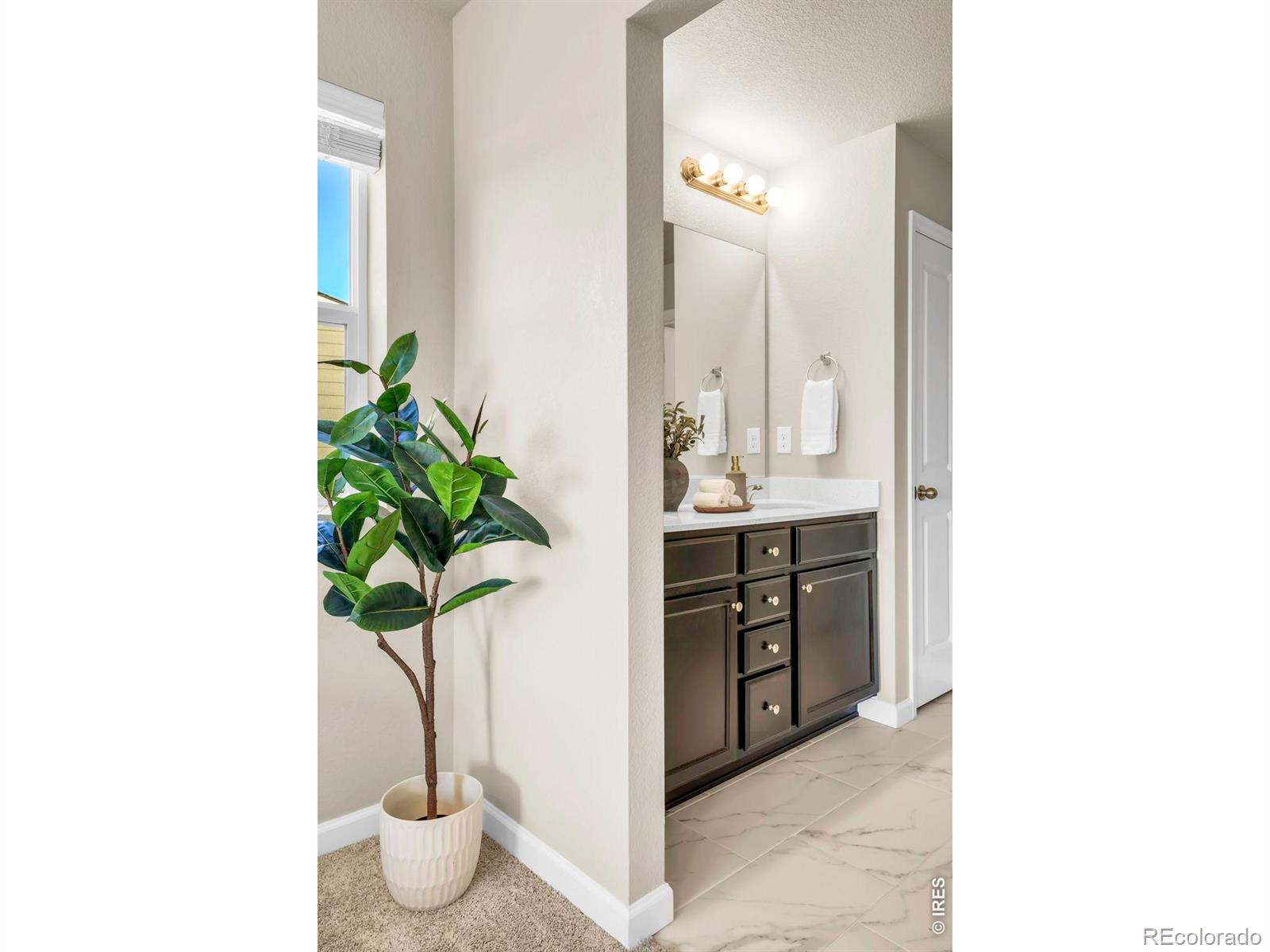 360 Marlowe Court Erie CO 80516