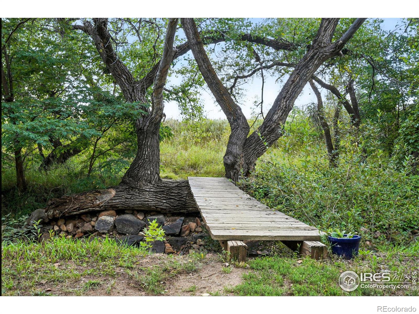 7979 N 41st Street Longmont CO 80503