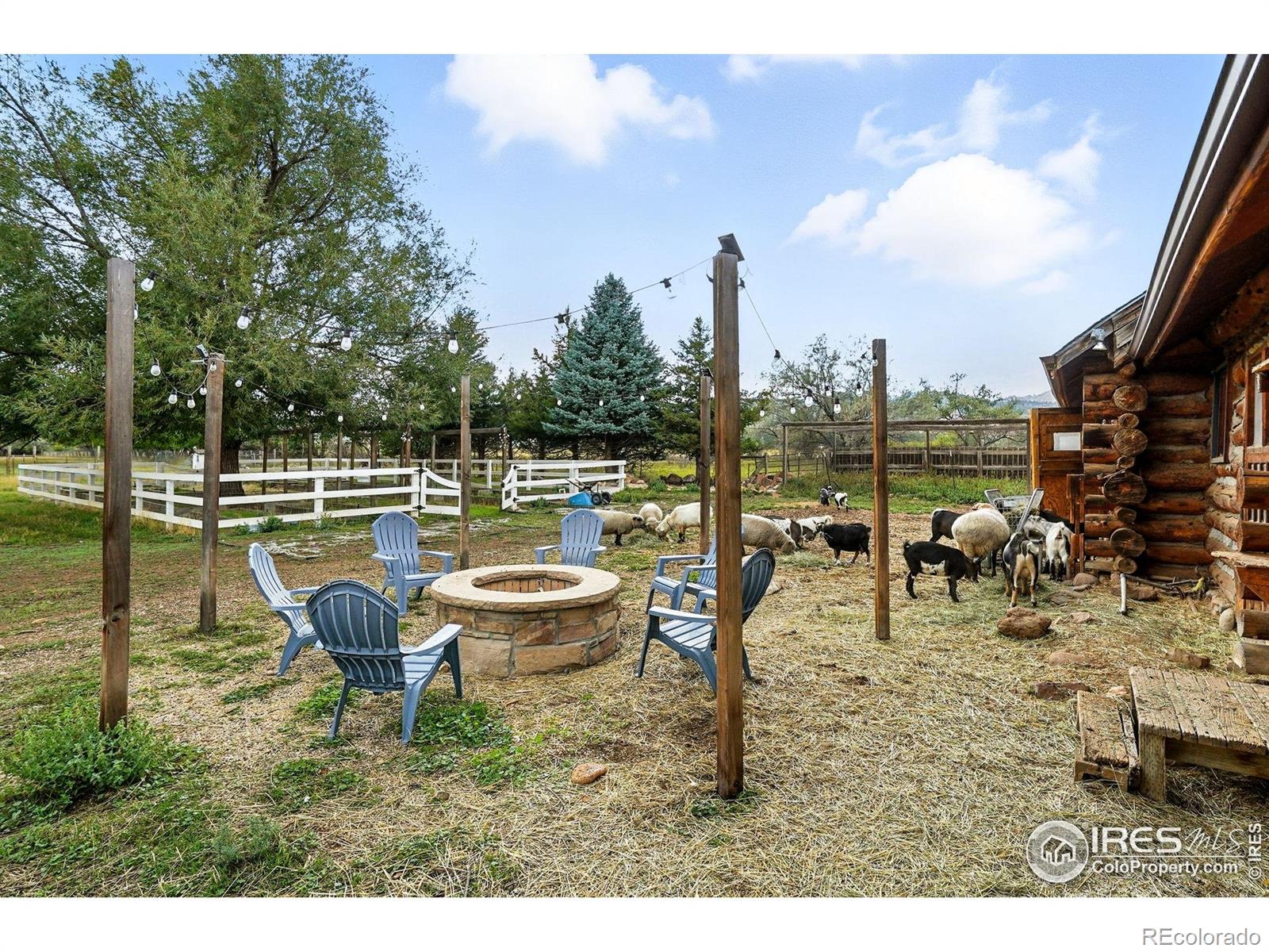 7979 N 41st Street Longmont CO 80503