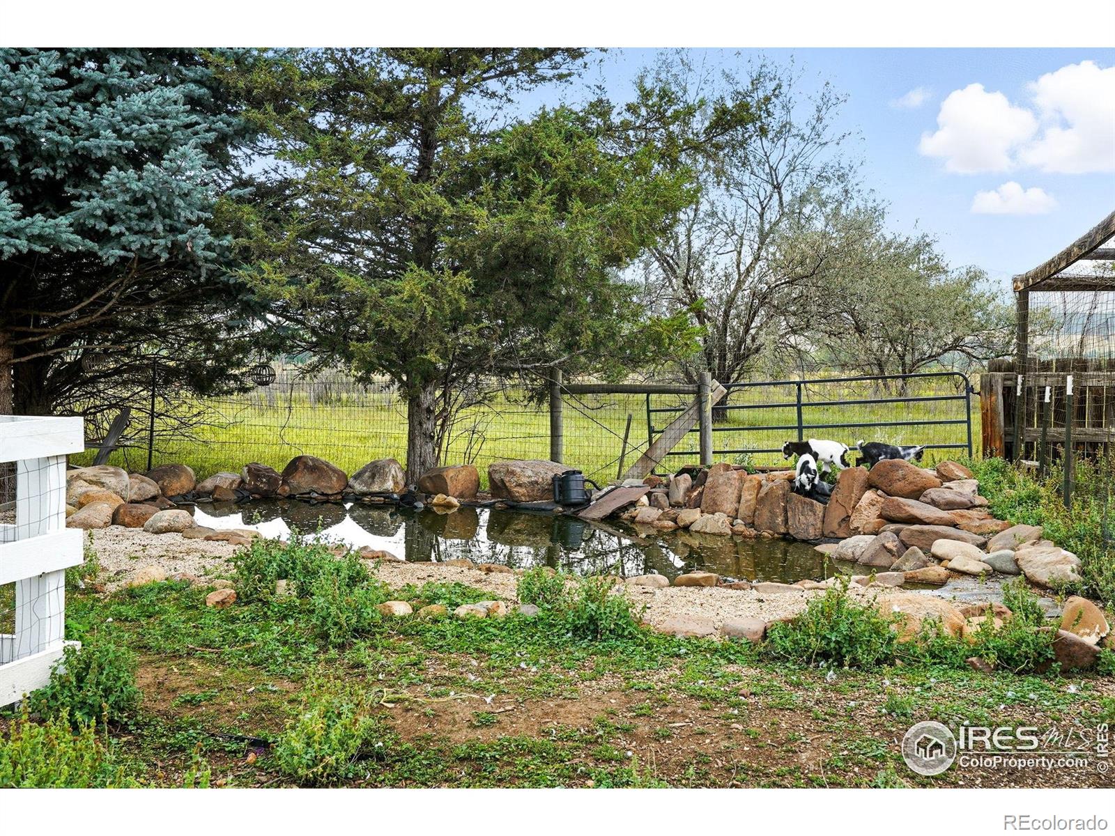 7979 N 41st Street Longmont CO 80503