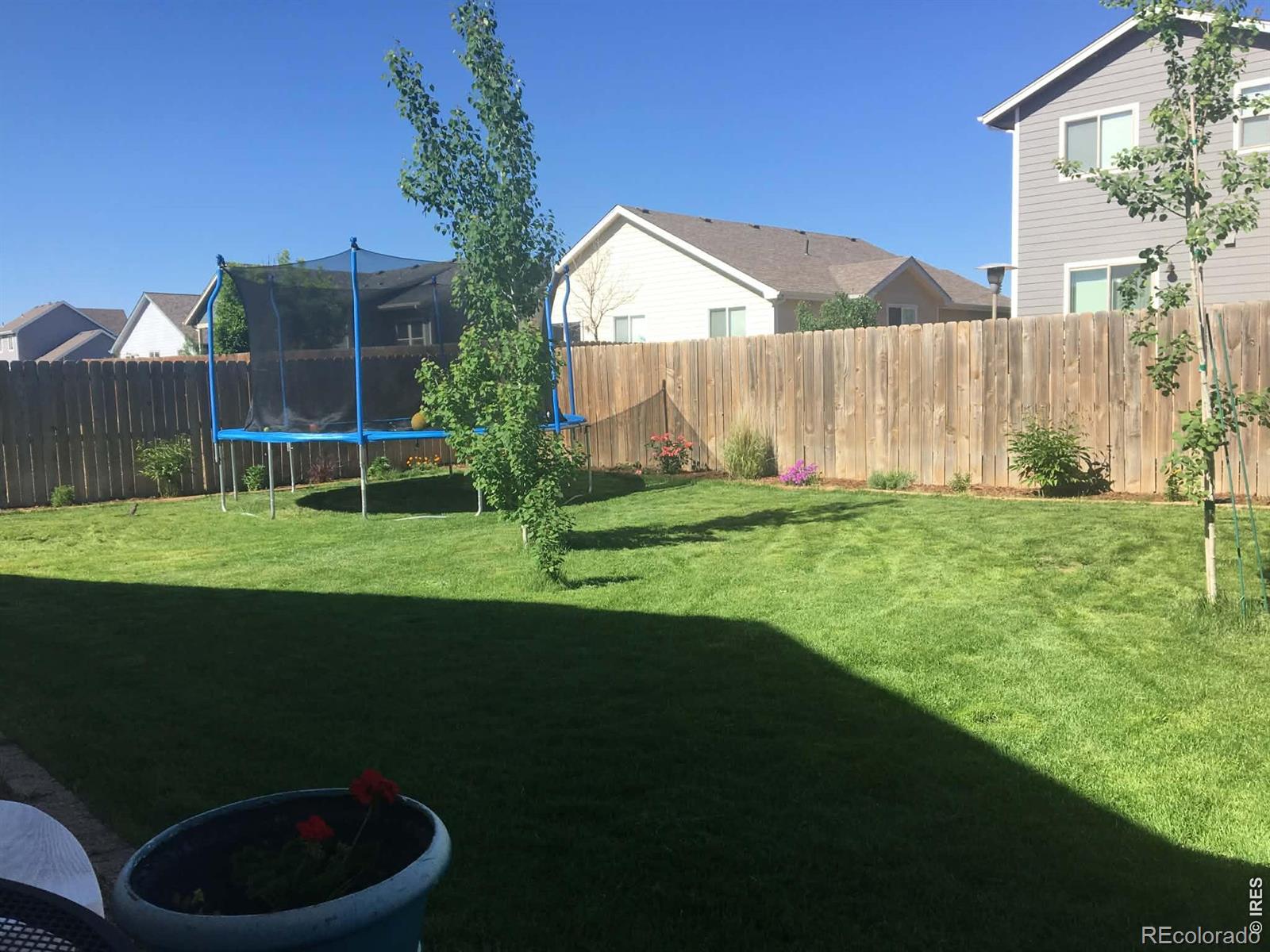 1303 S Harvester Drive Milliken CO 80543