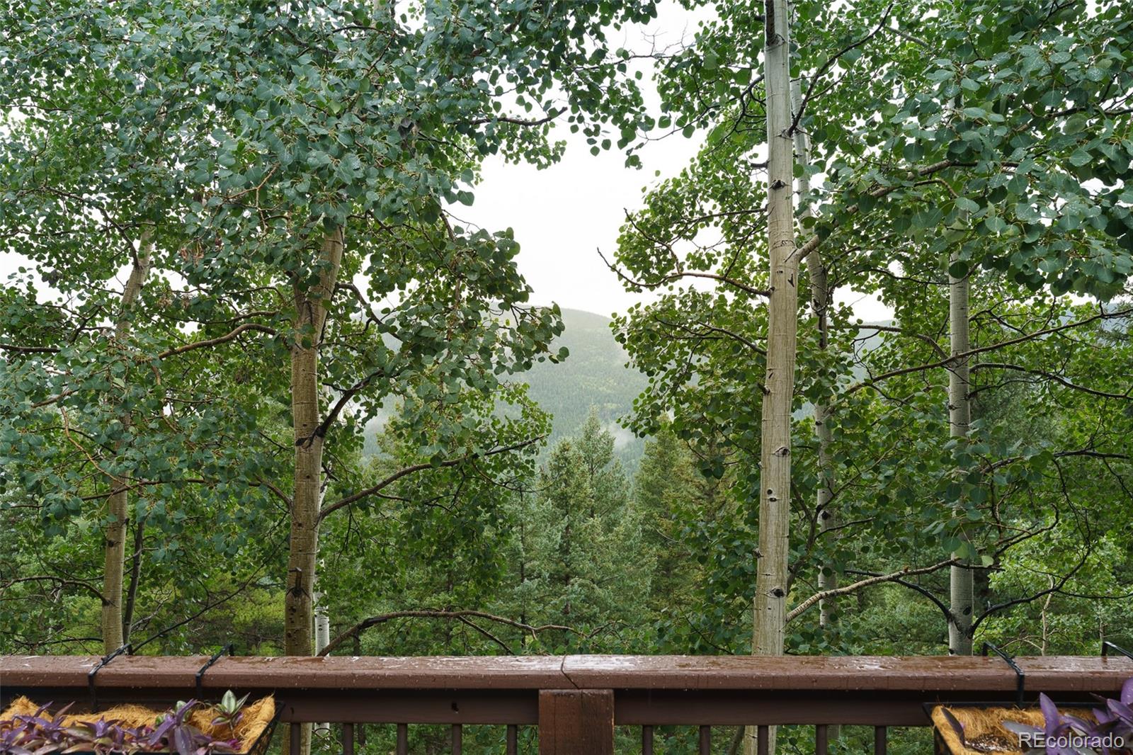 70 Jackpine Lane Evergreen CO 80439
