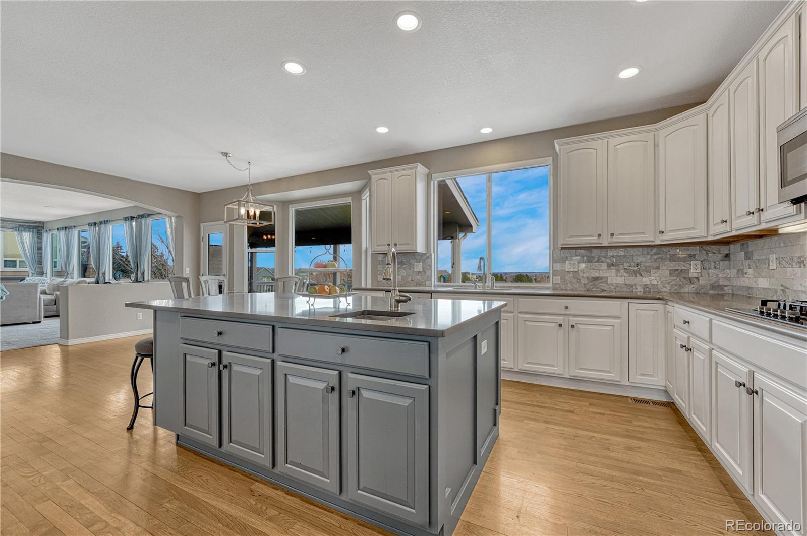 5923 Bridle Path Lane Parker CO 80134
