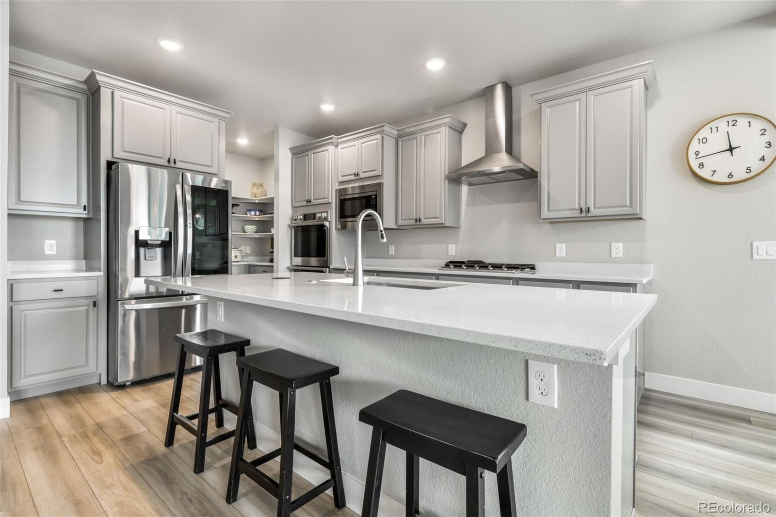 2115 Coyote Mint Drive Monument CO 80132