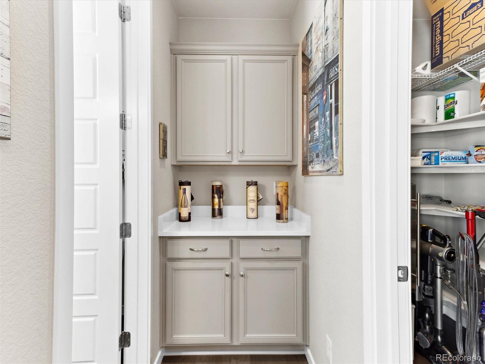 2578 Palau Way Castle Rock CO 80109
