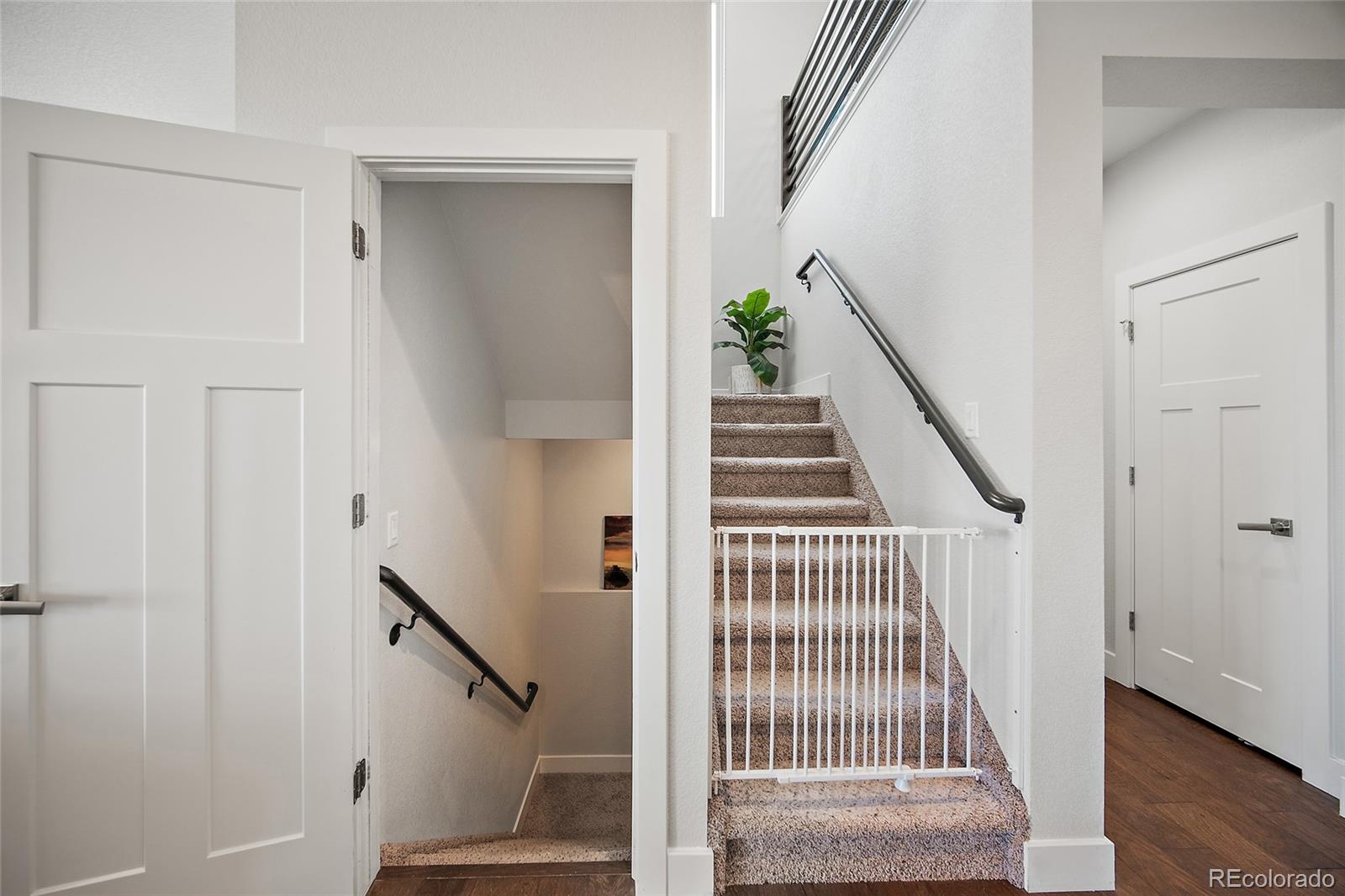 7814 Pinfeather Drive Fountain CO 80817