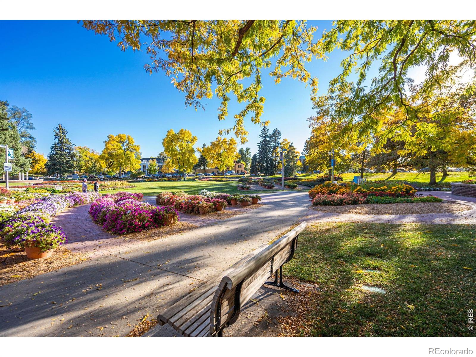 2052 Glenmoor Drive Fort Collins CO 80521