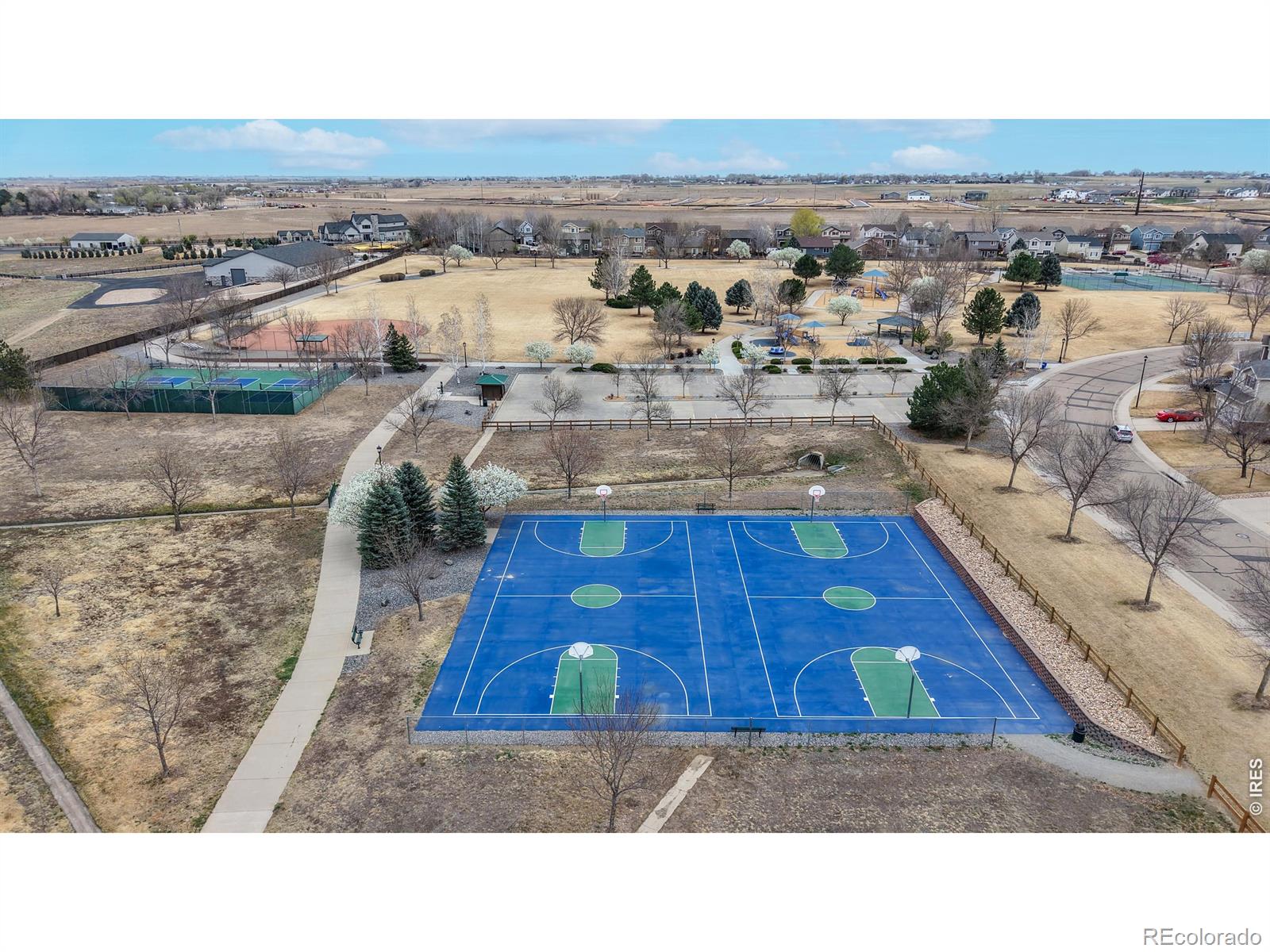 11478 Daisy Court Firestone CO 80504