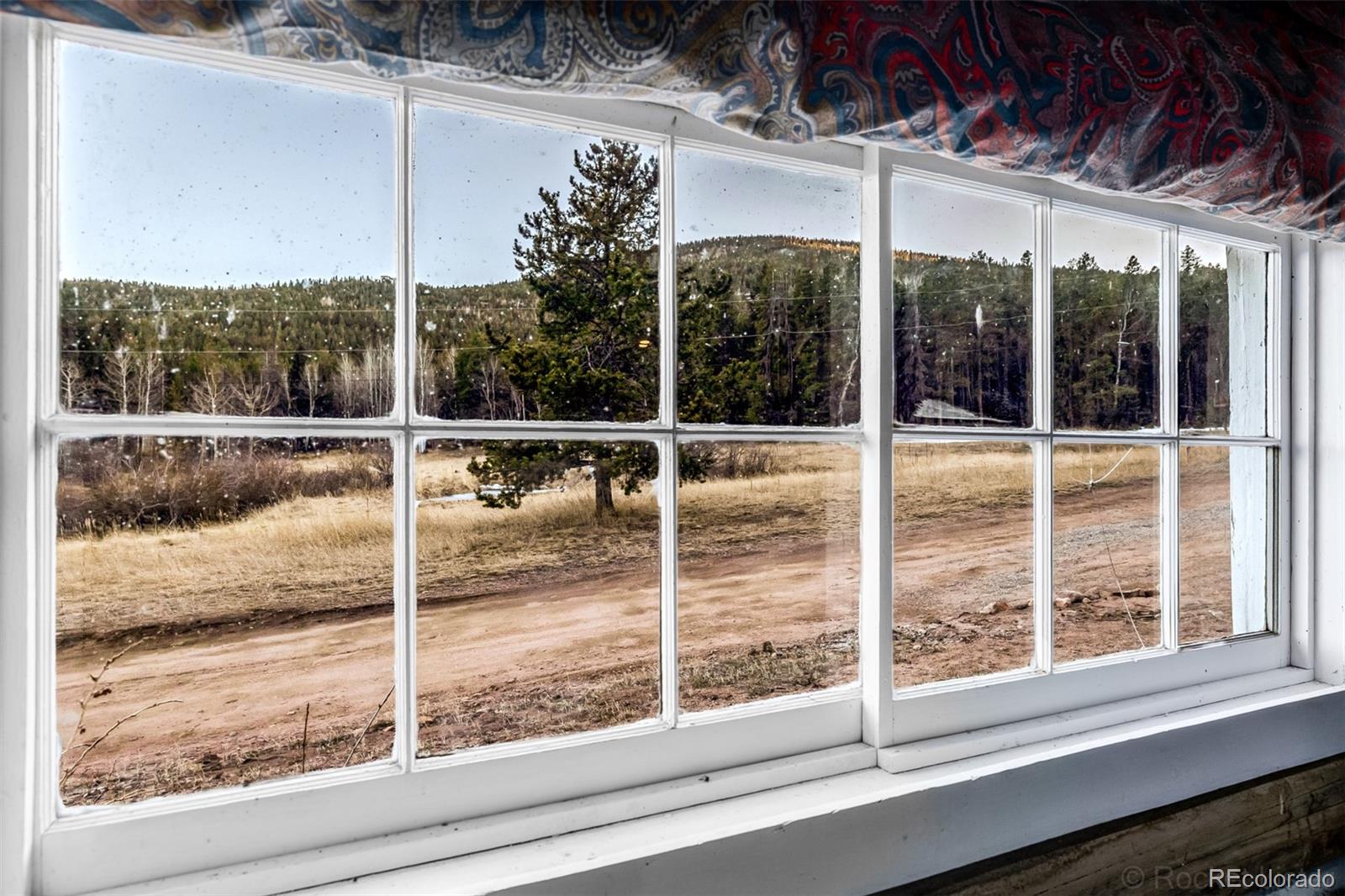 9719 Beaver Pond Conifer CO 80433
