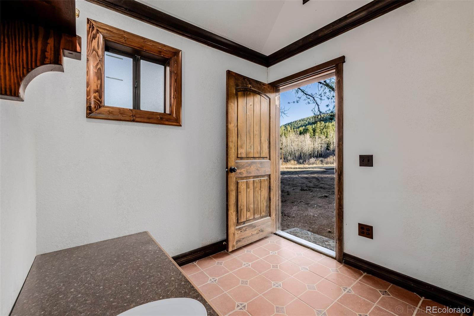 9719 Beaver Pond Conifer CO 80433