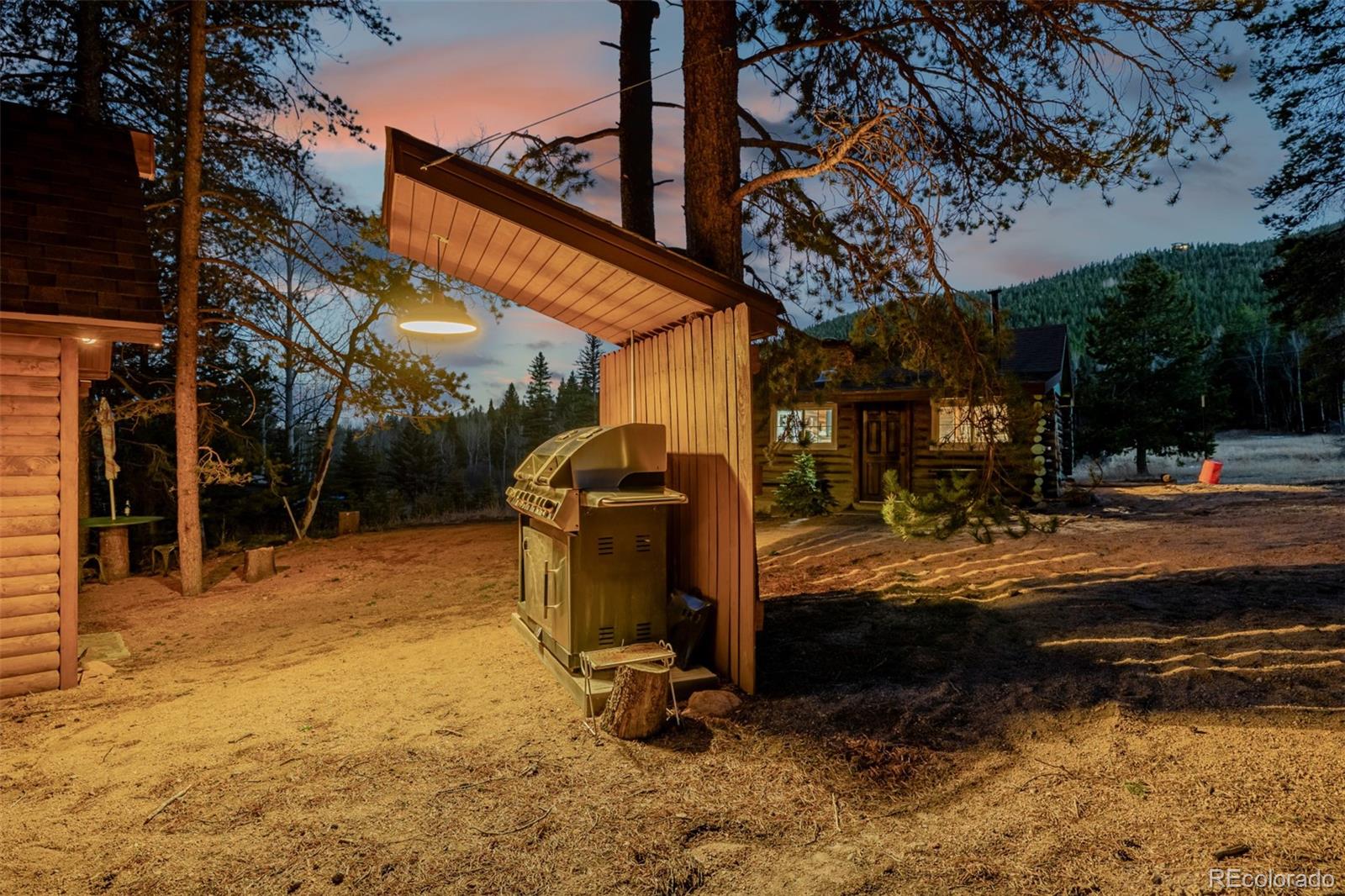 9719 Beaver Pond Conifer CO 80433