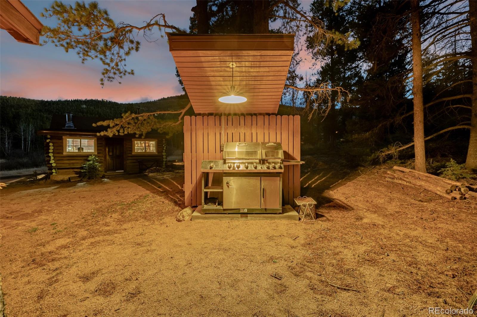 9719 Beaver Pond Conifer CO 80433