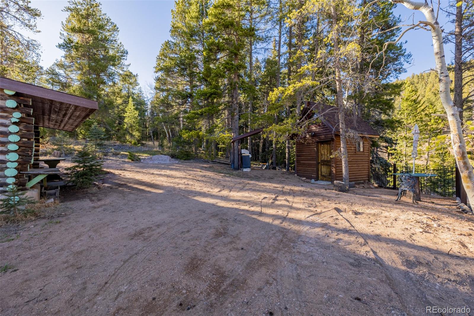 9719 Beaver Pond Conifer CO 80433