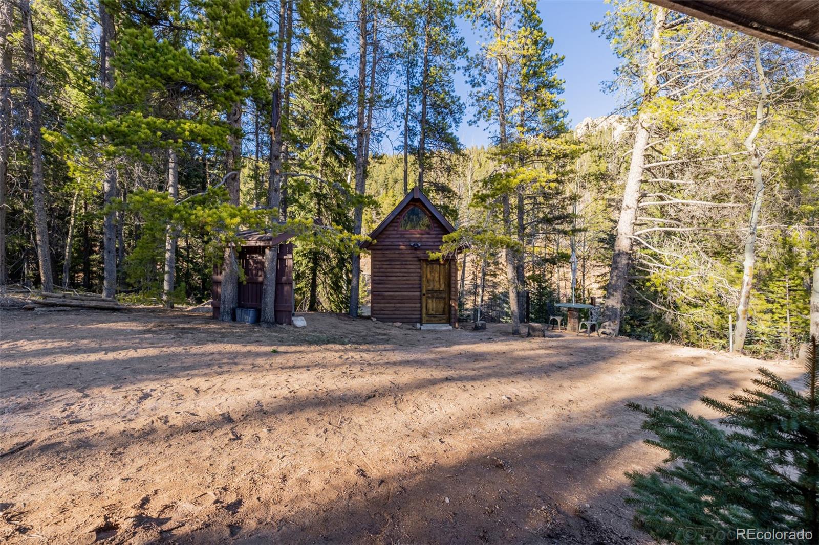 9719 Beaver Pond Conifer CO 80433