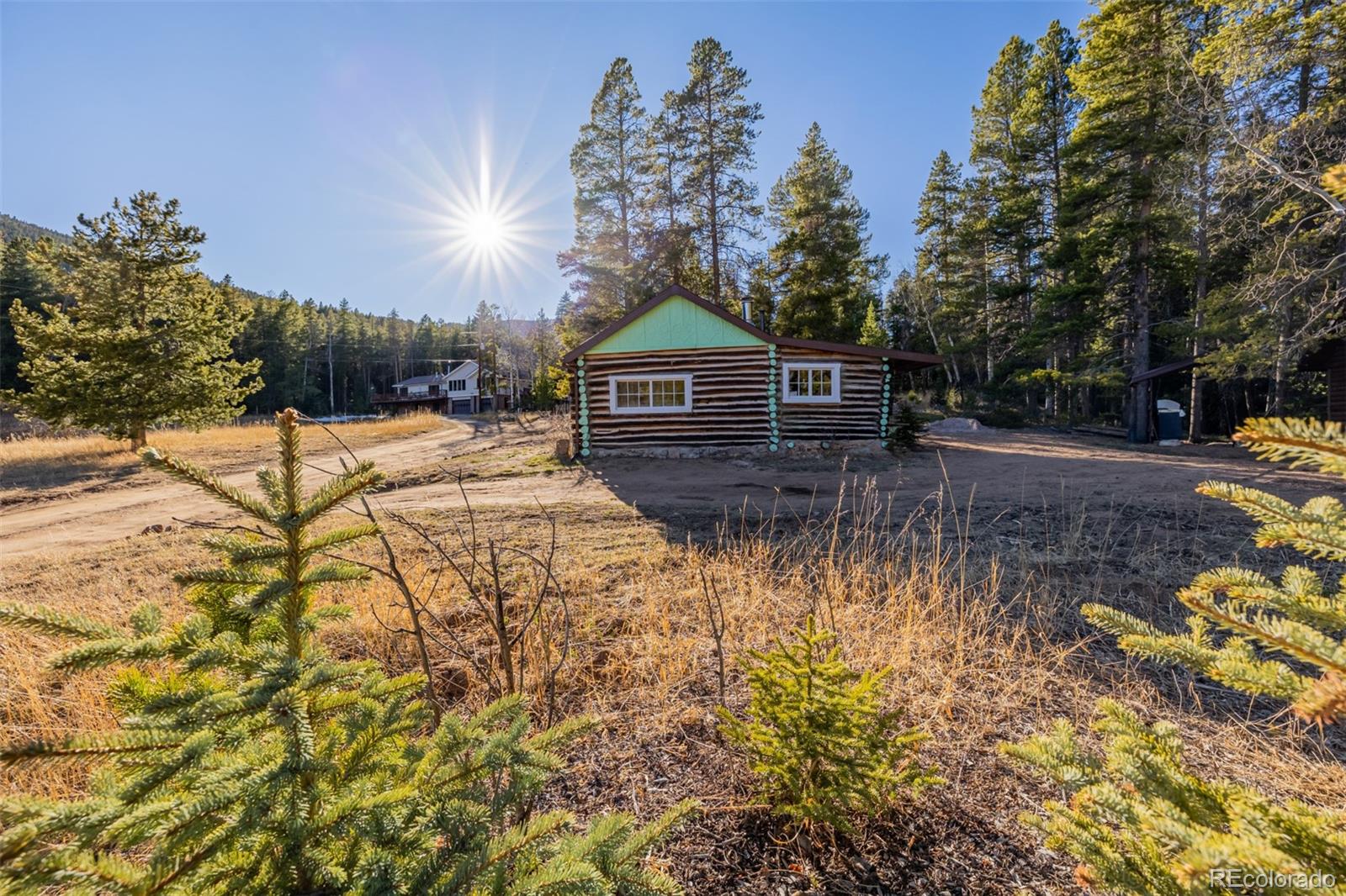 9719 Beaver Pond Conifer CO 80433