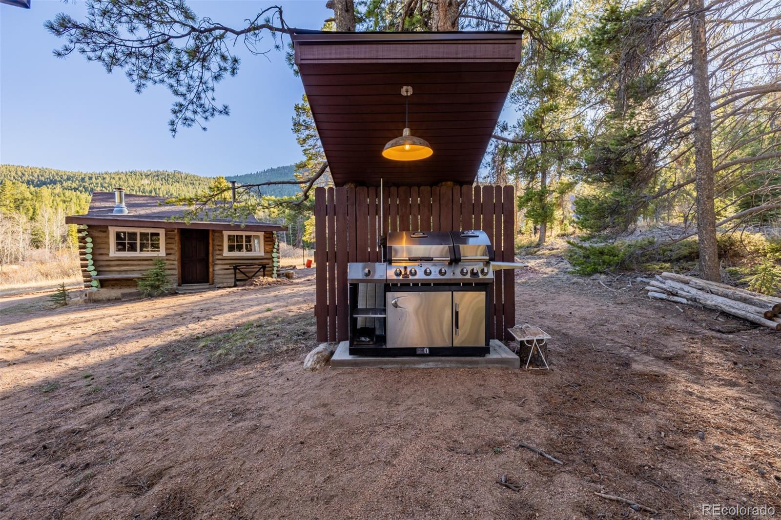 9719 Beaver Pond Conifer CO 80433