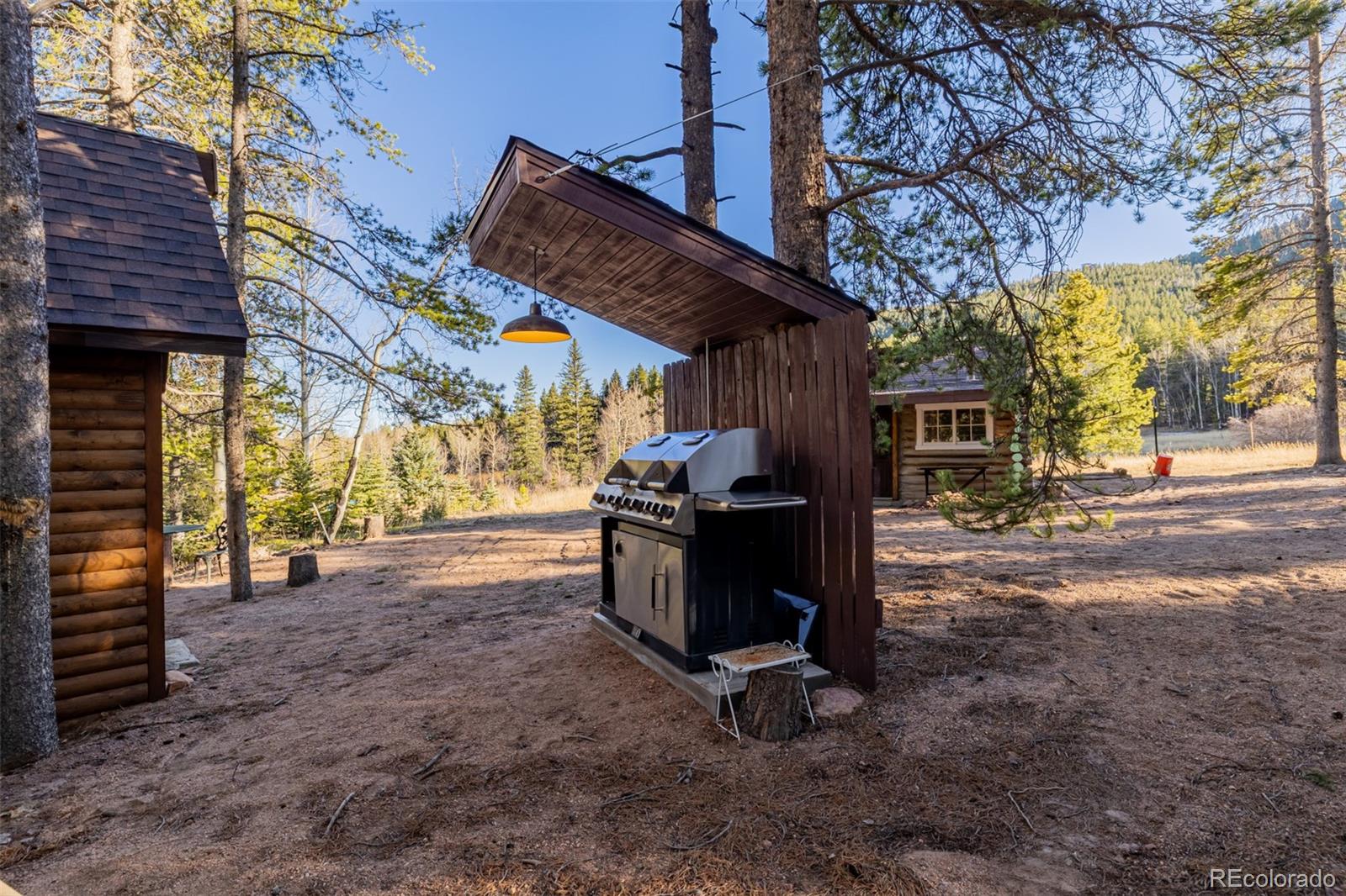 9719 Beaver Pond Conifer CO 80433