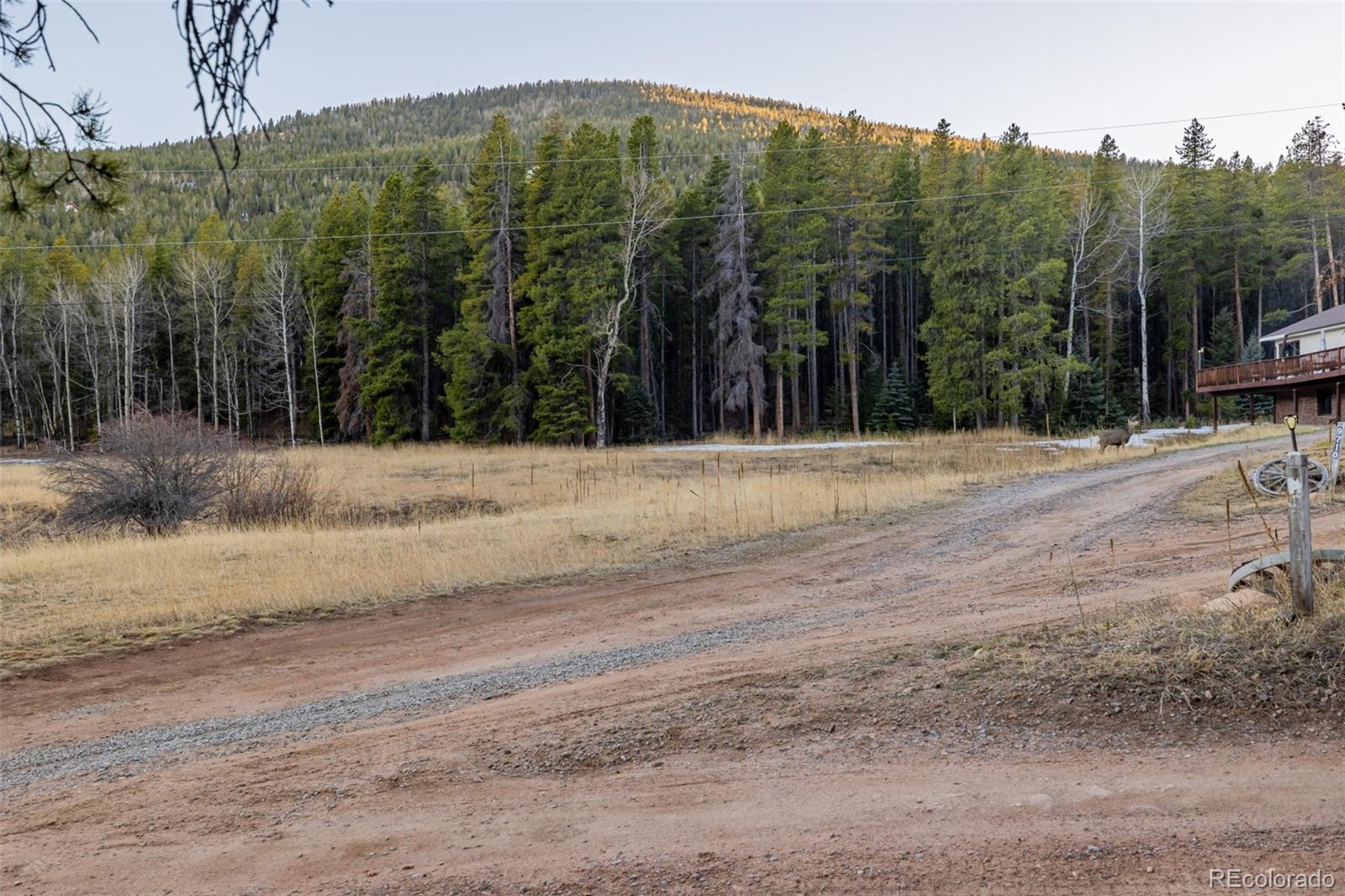 9719 Beaver Pond Conifer CO 80433