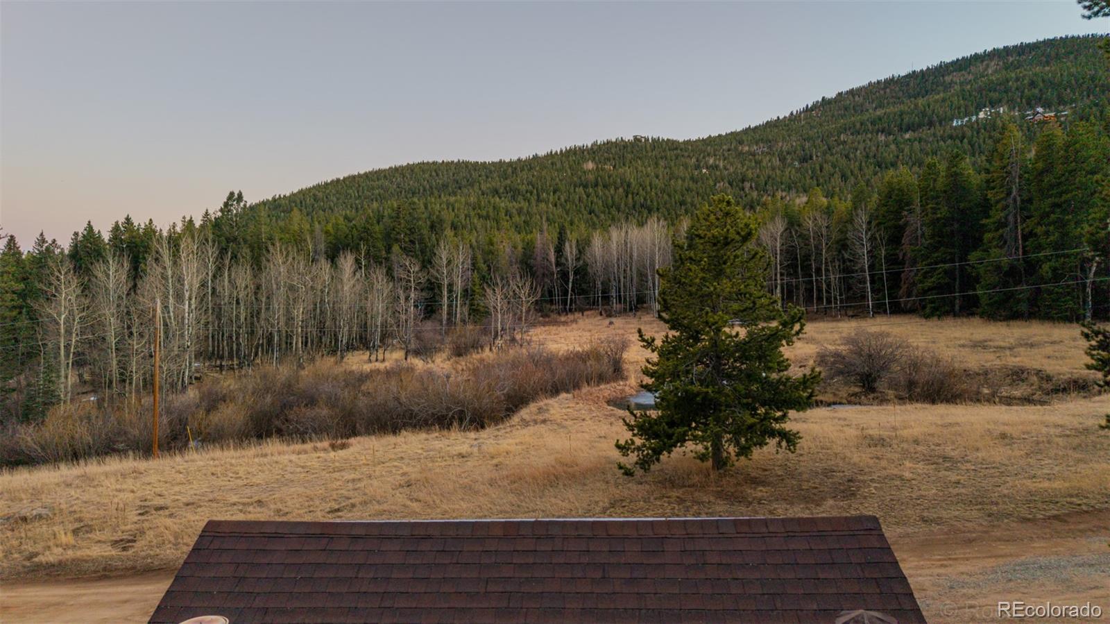 9719 Beaver Pond Conifer CO 80433