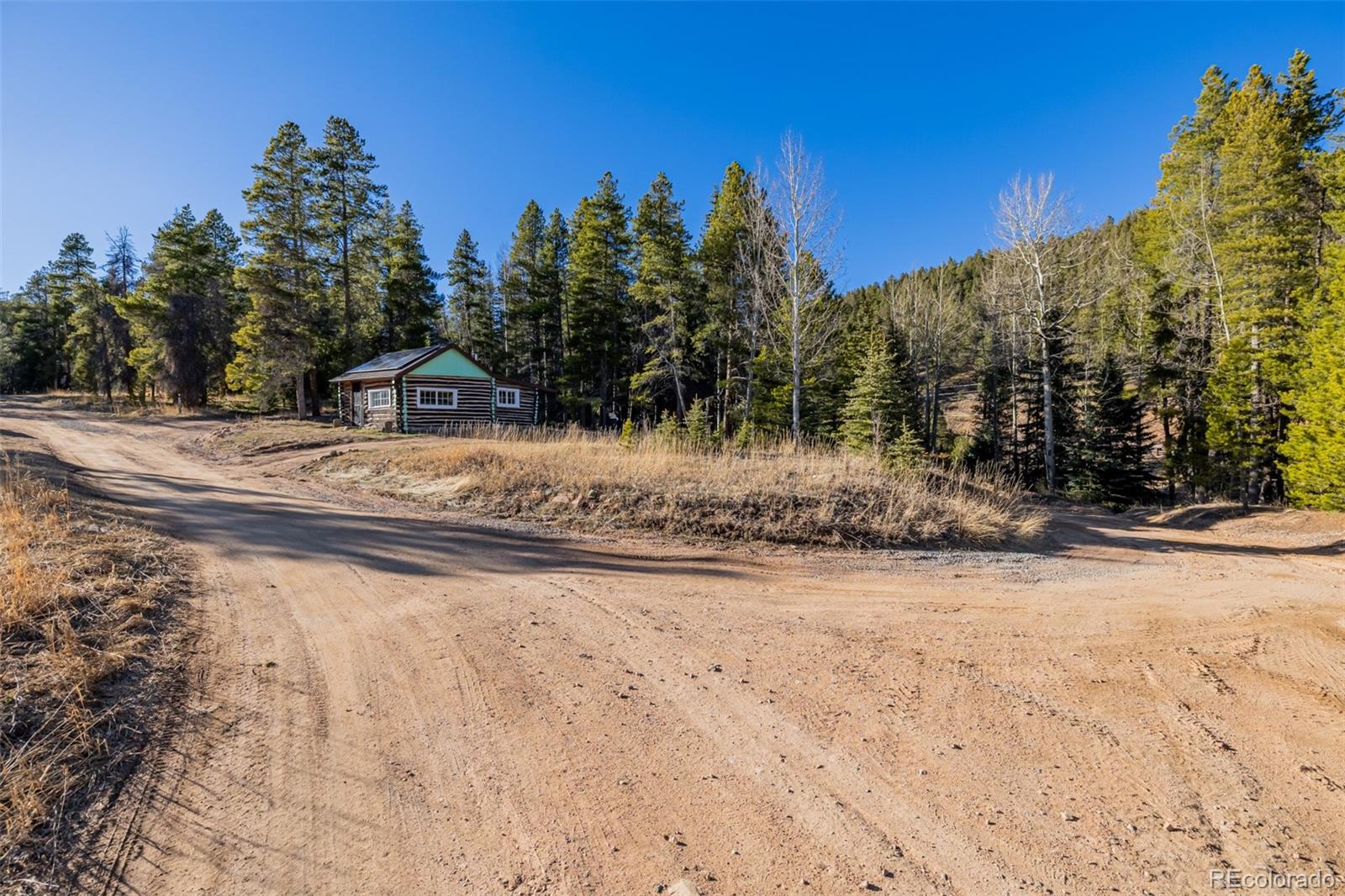 9719 Beaver Pond Conifer CO 80433