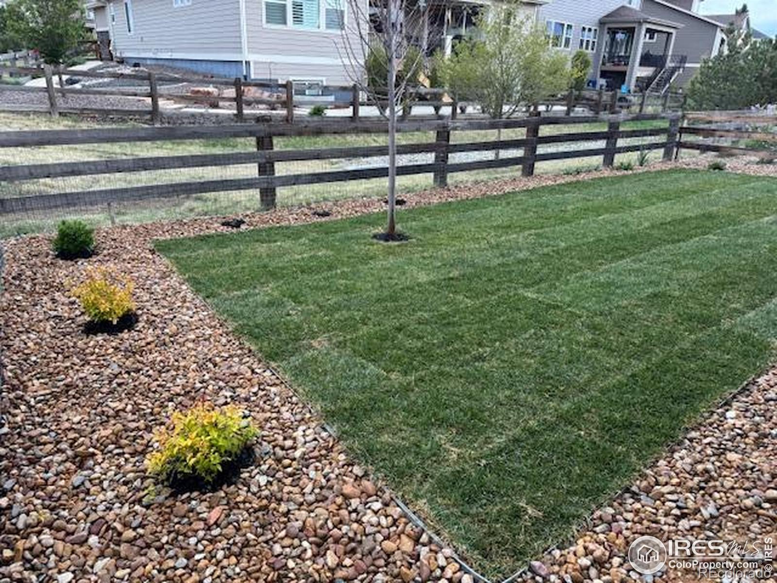 2817 Cub Lake Drive Loveland CO 80538