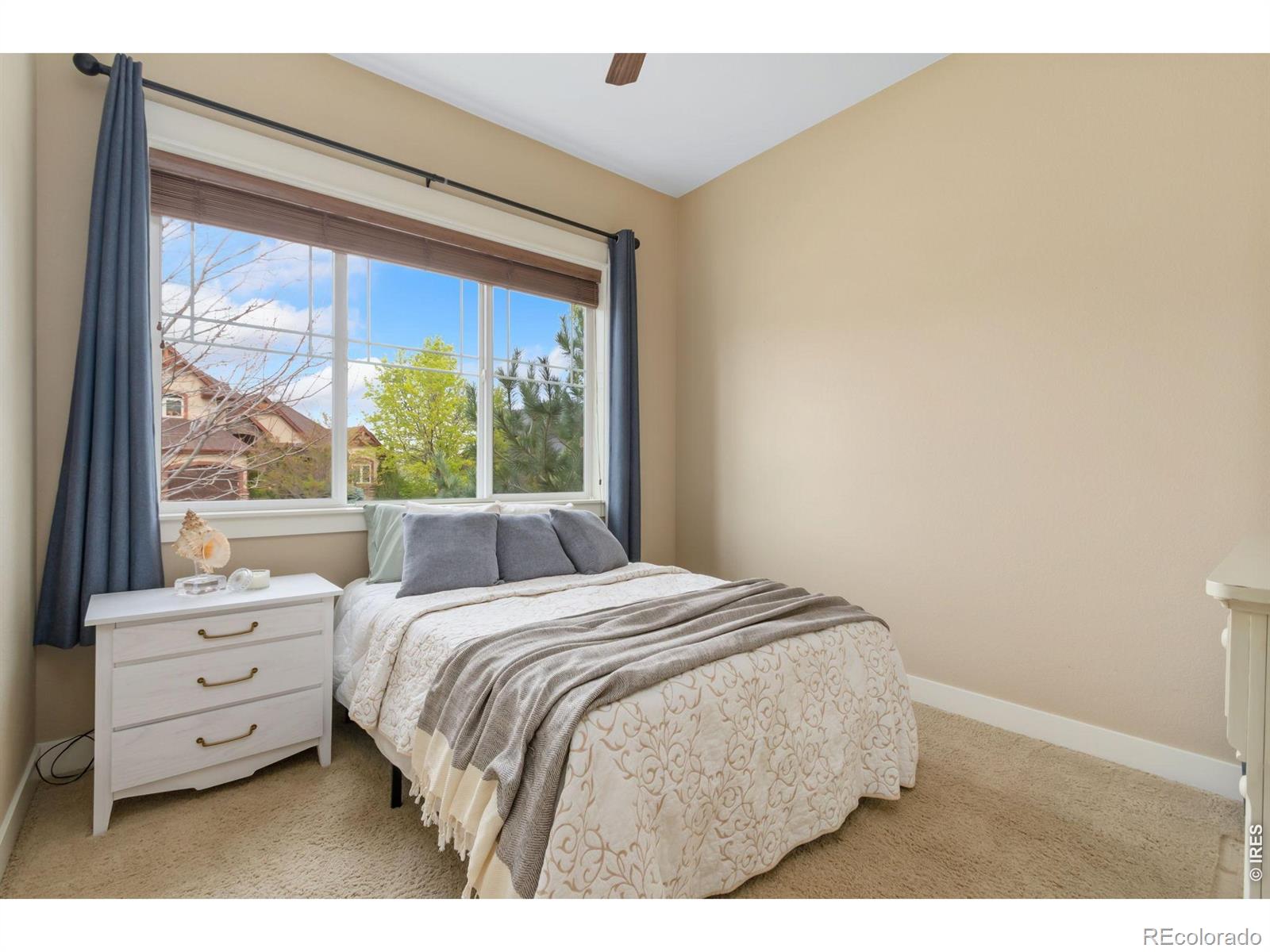 5507 Fairmount Drive Windsor CO 80550