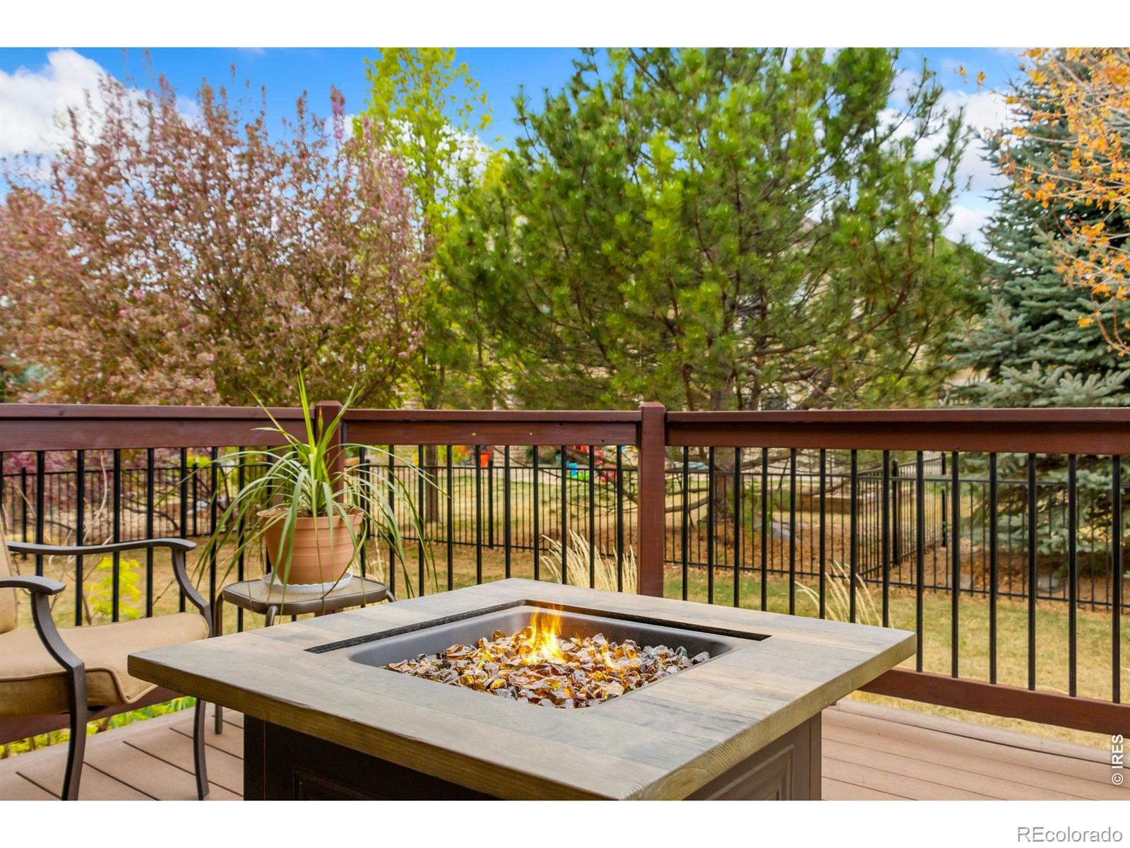 5507 Fairmount Drive Windsor CO 80550