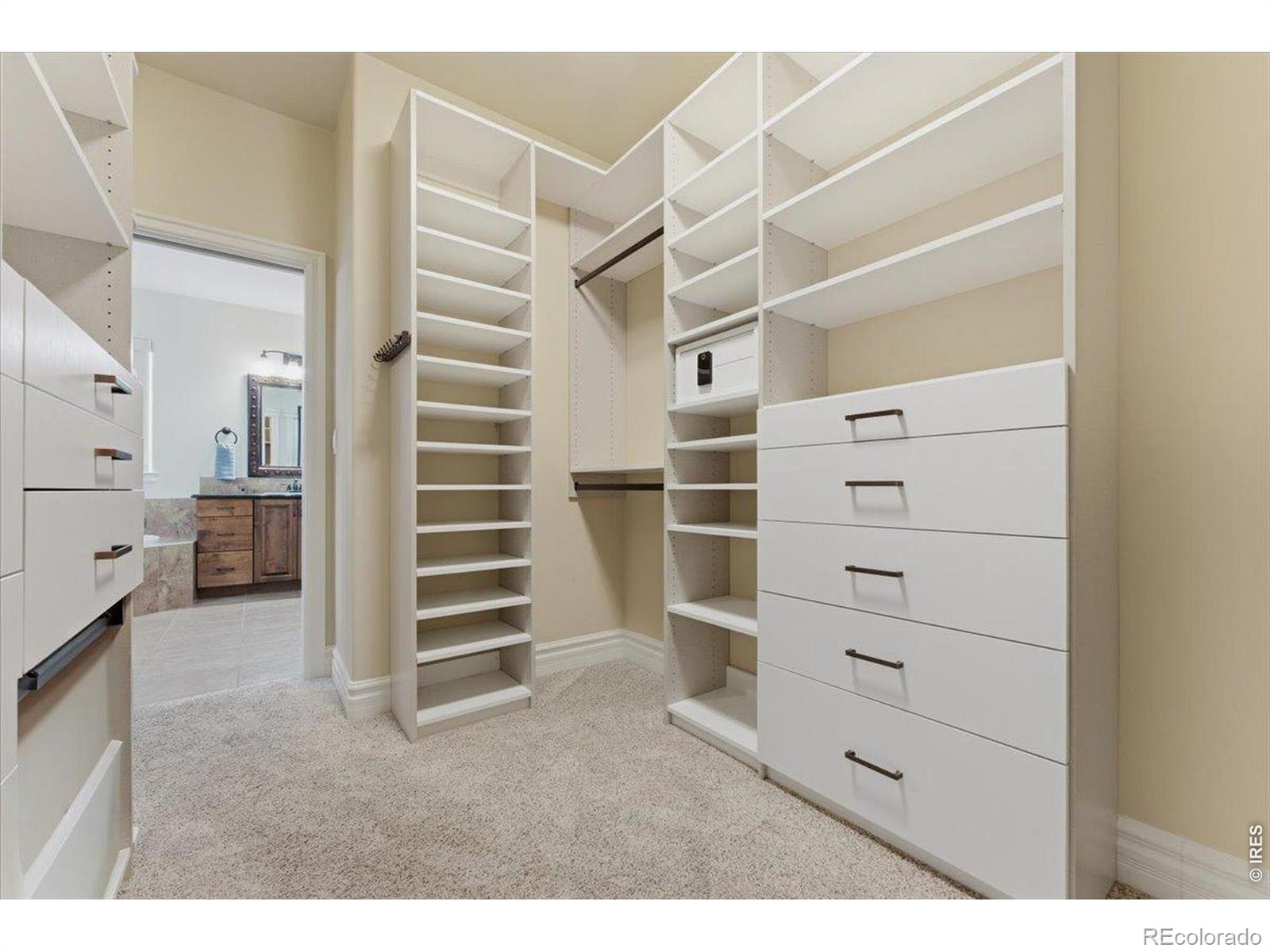 6834 Grand Park Drive Timnath CO 80547