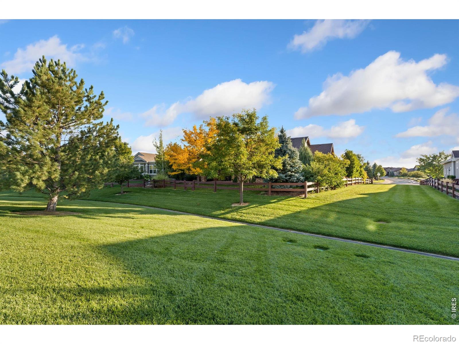 6834 Grand Park Drive Timnath CO 80547
